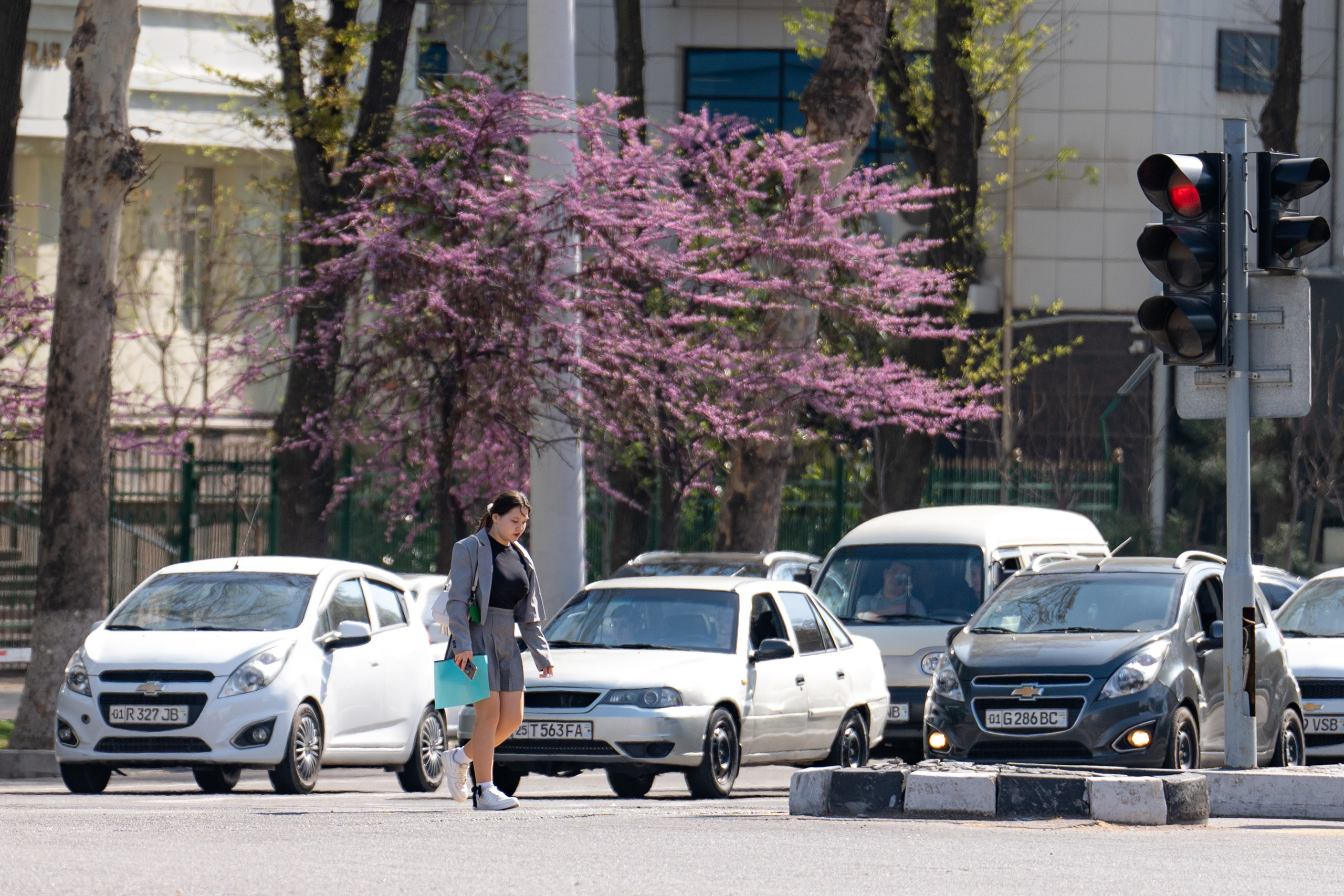 Весенний вайб Ташкента. Георгий Намазов | Фотограф в Ташкенте