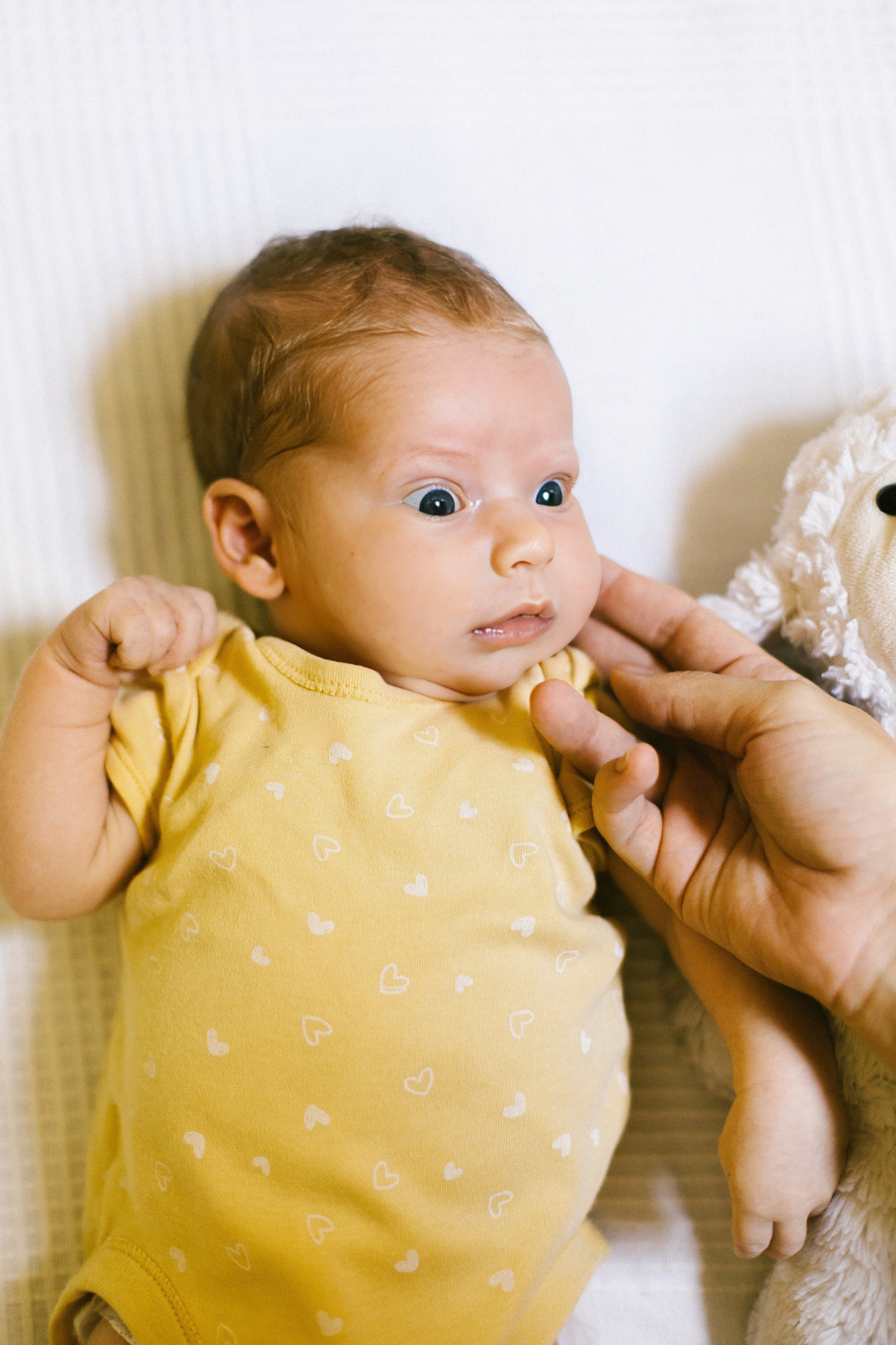 Ella 2 month. Family photographer in Israel