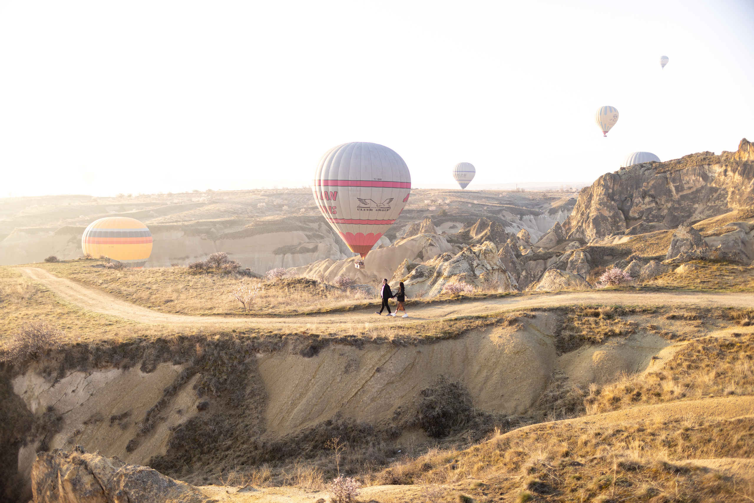 Spring Couple Photoshoot with Hot Air Balloons and Blooming Trees. Julia Ganch I Fashion Wedding Photography I Cappadocia Turkey