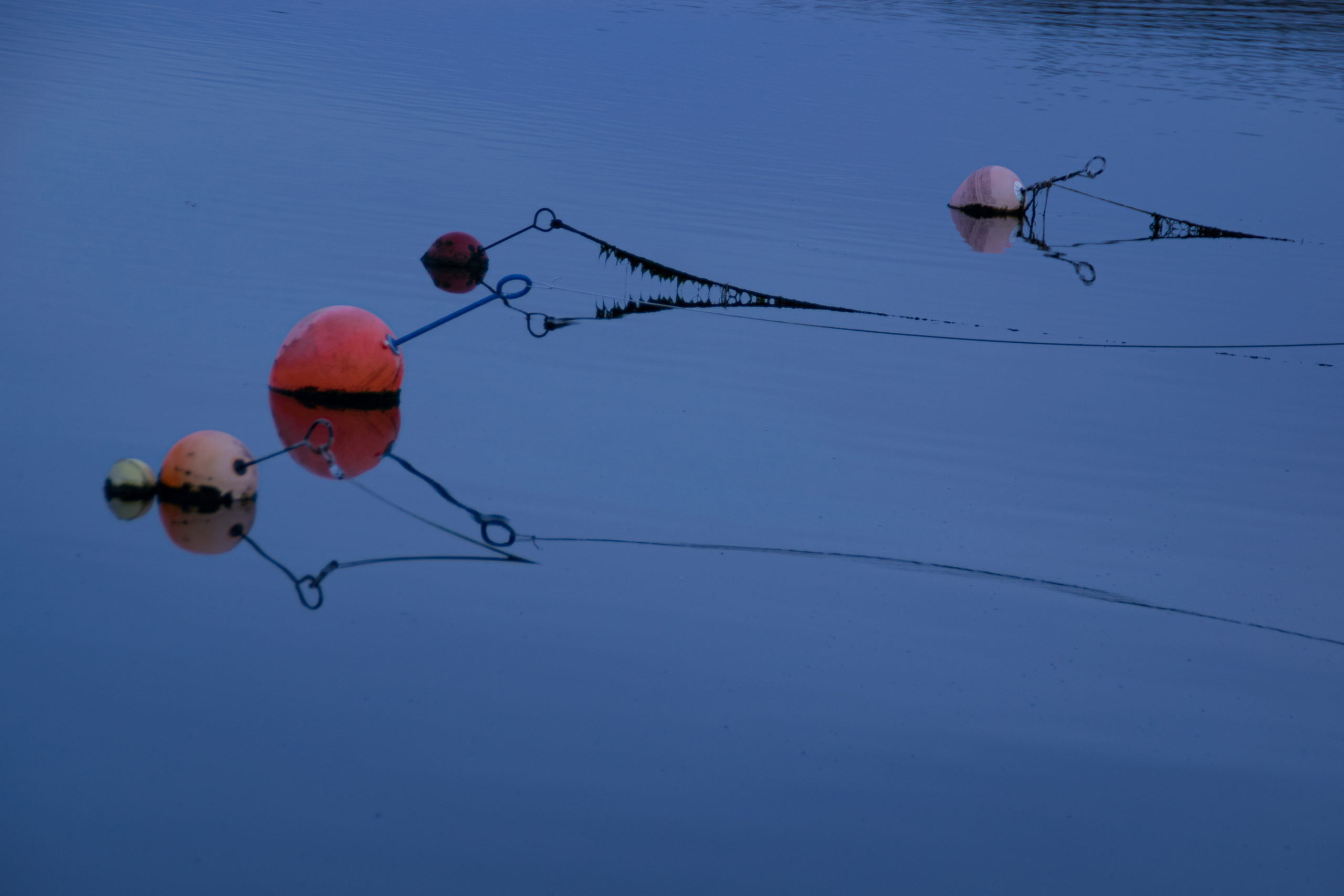 Portfolio. Photographer in Sotenäs municipality. Fotograf i Sotenäs kommun