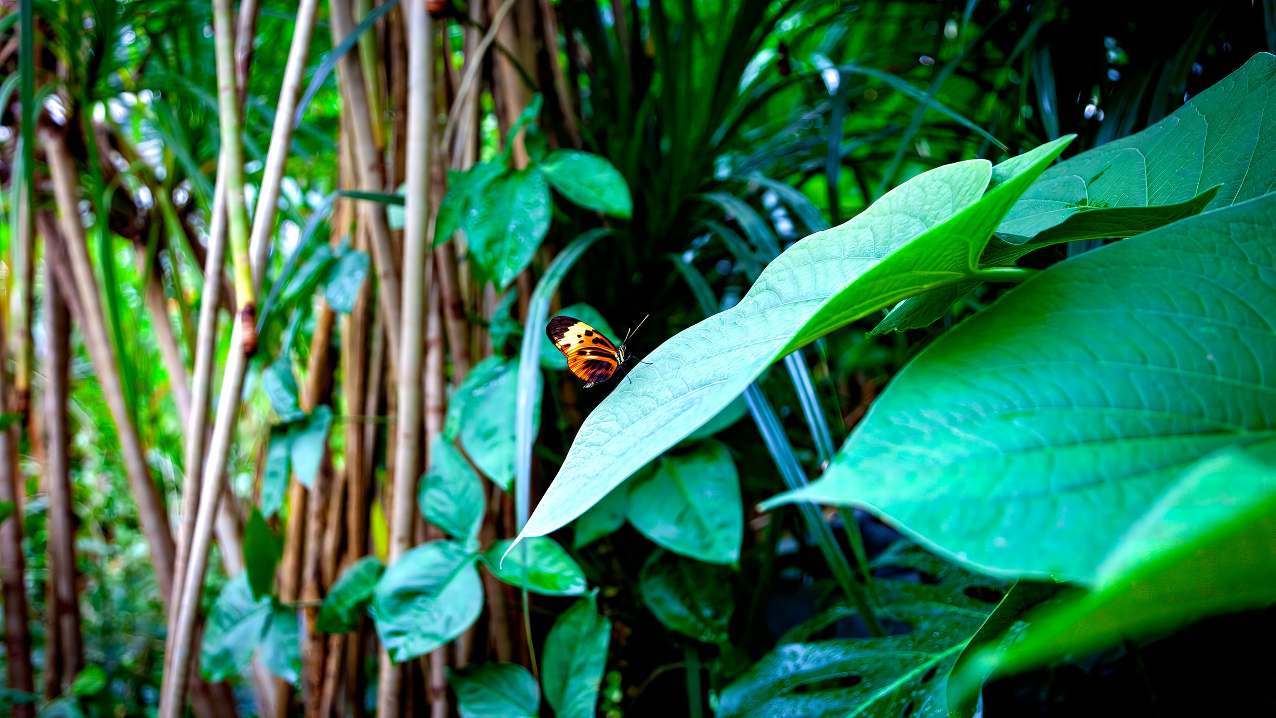 187.Mainau.Germany.24.9.2024. Путешествия в формате 360......