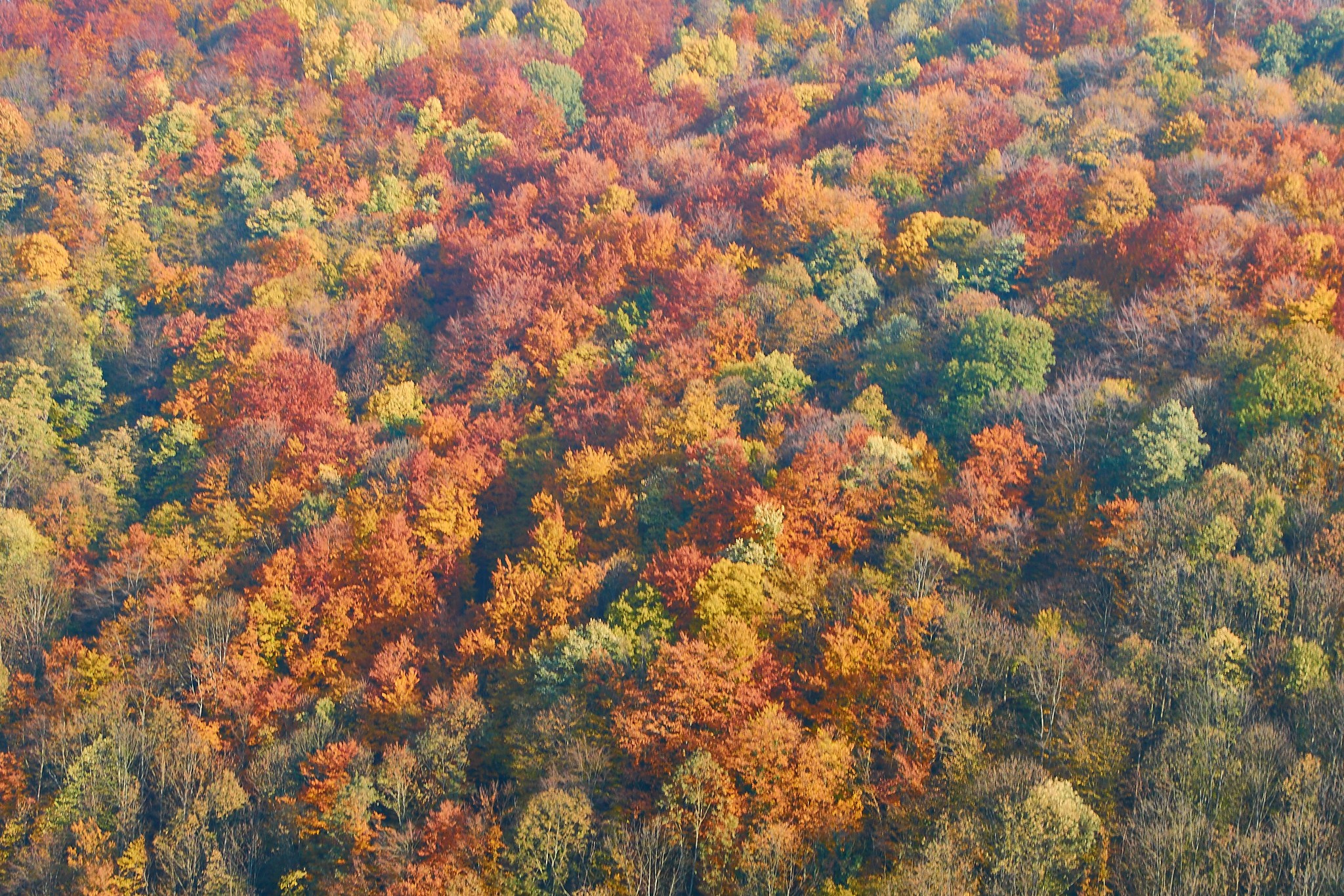 Toamna pe calea ferată Oravița-Anina, jud. Caraș-Severin. Pagina principală
