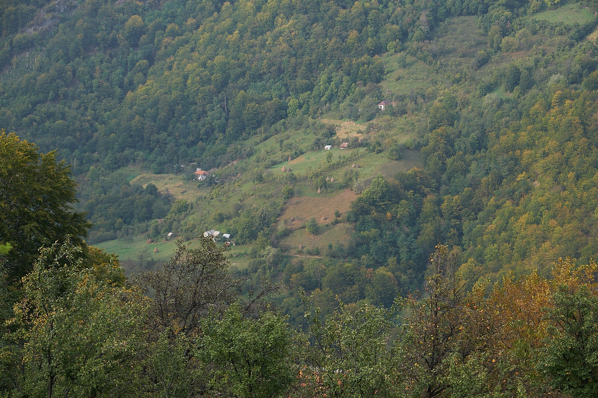 Ineleț, jud. Caraș-Severin. Pagina principală