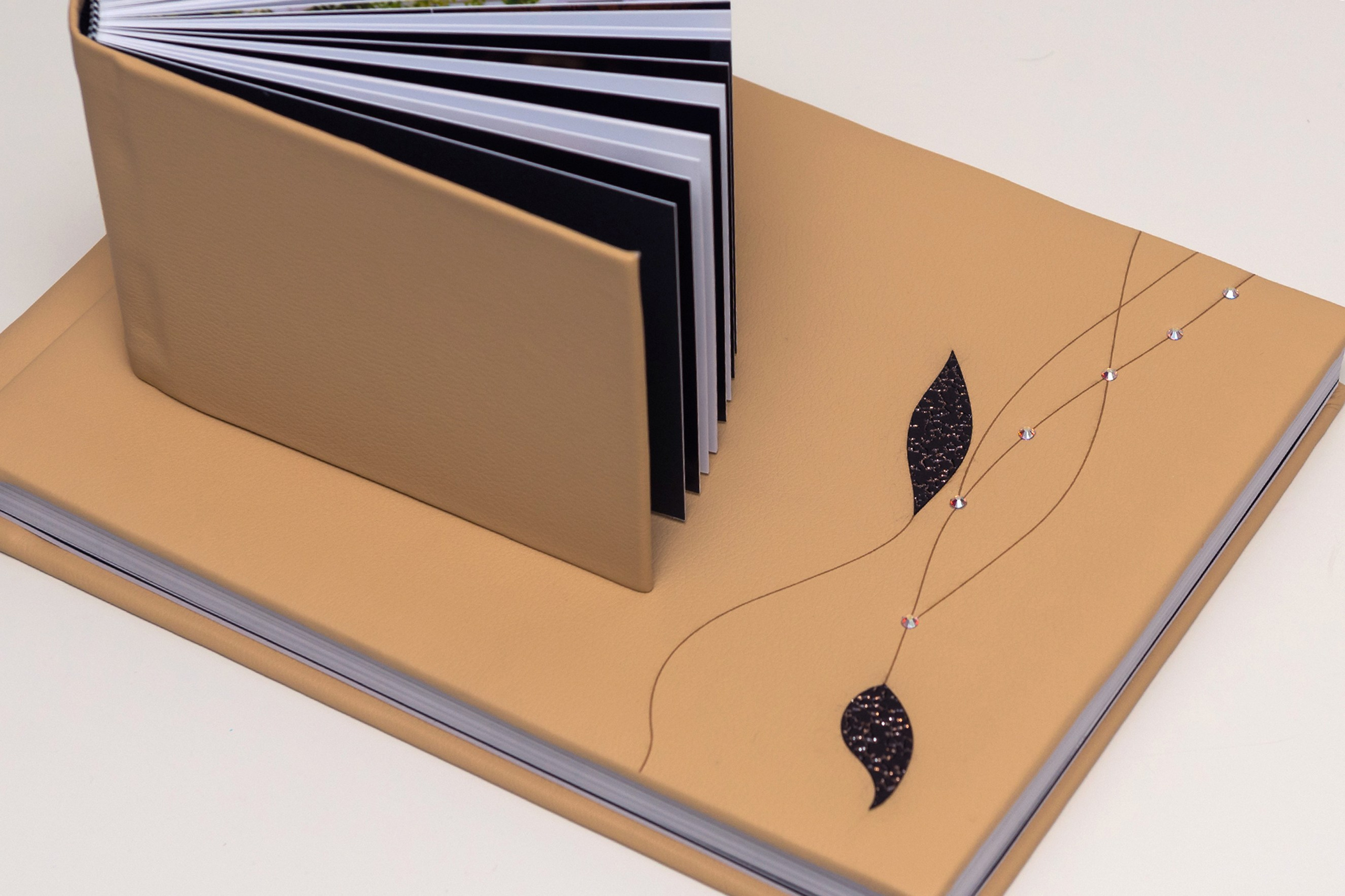 Albume Bogdan Palenciuc