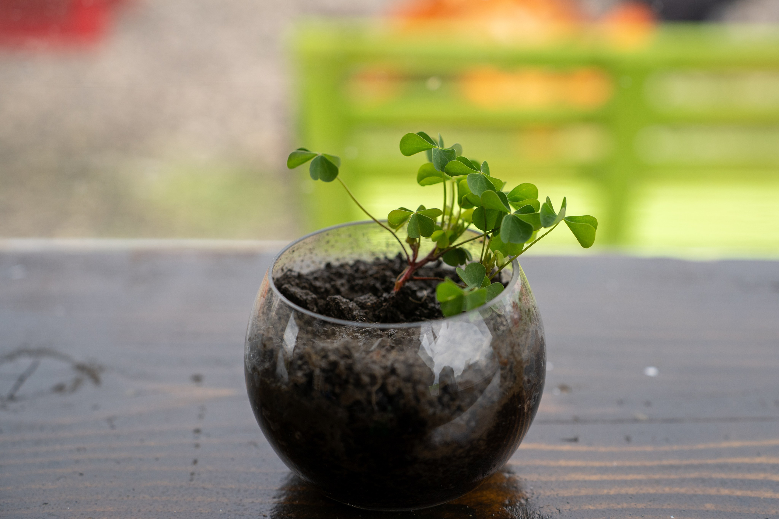 Deschidere Arena Paintball Brasov. Adelinne