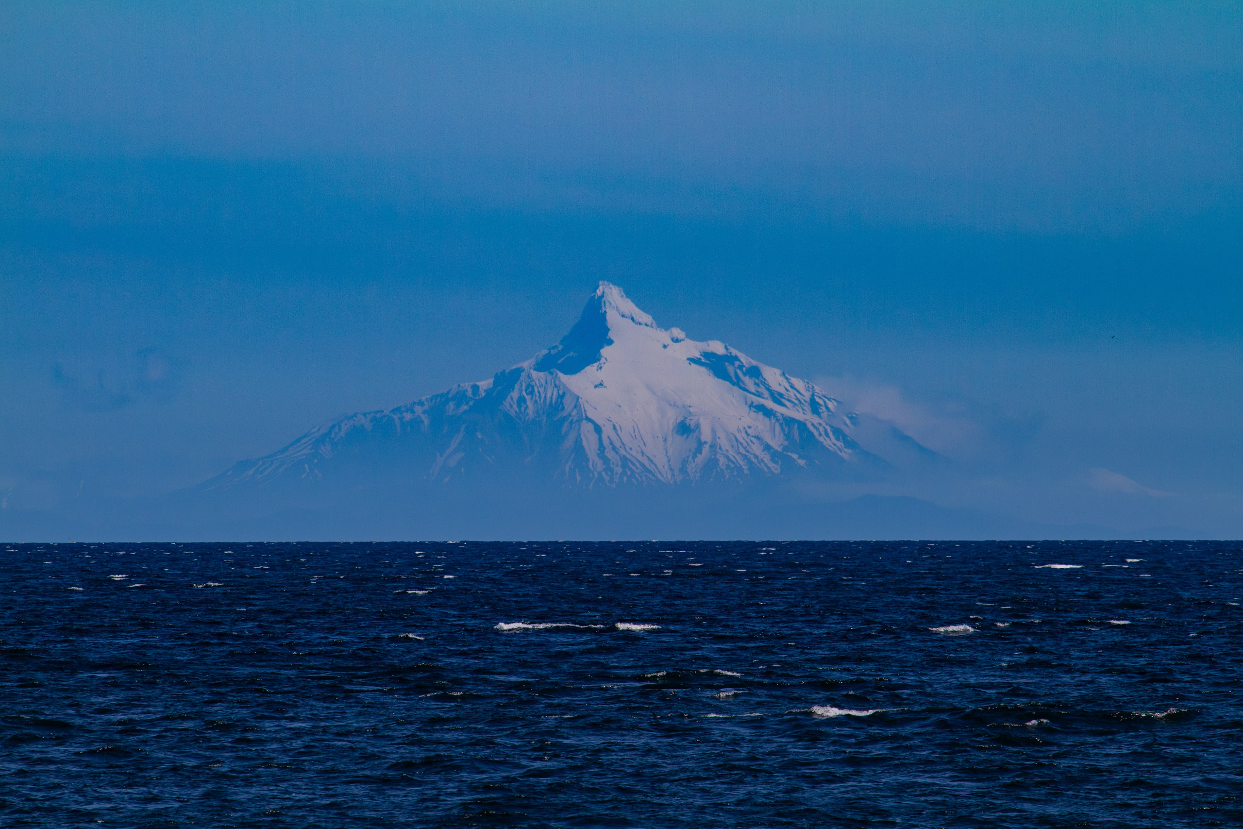Nature photographer Yuri Soria-Galvarro