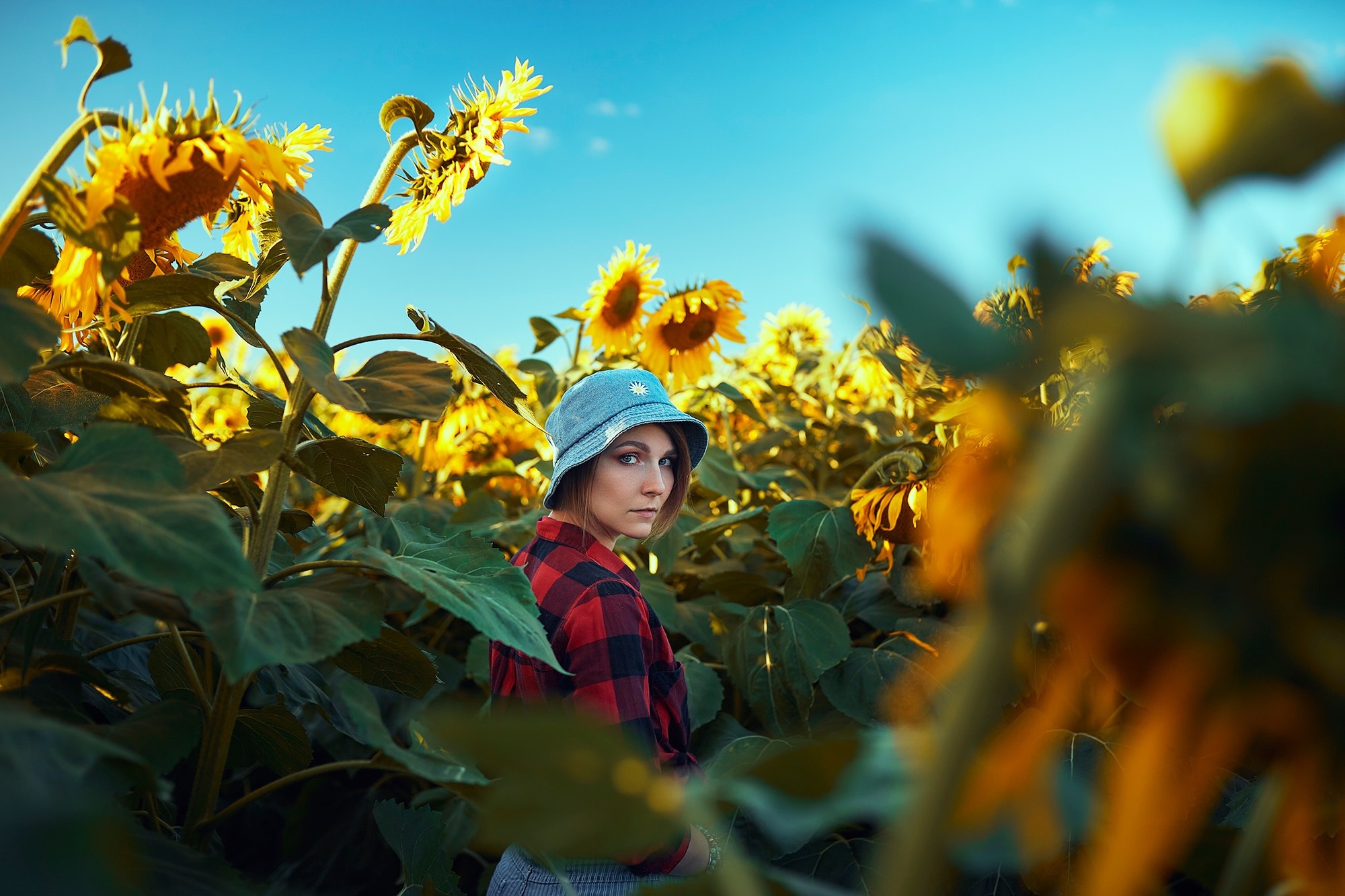 Прекрасная девушка в синей панамке в поле подсолнухов в солнечный день