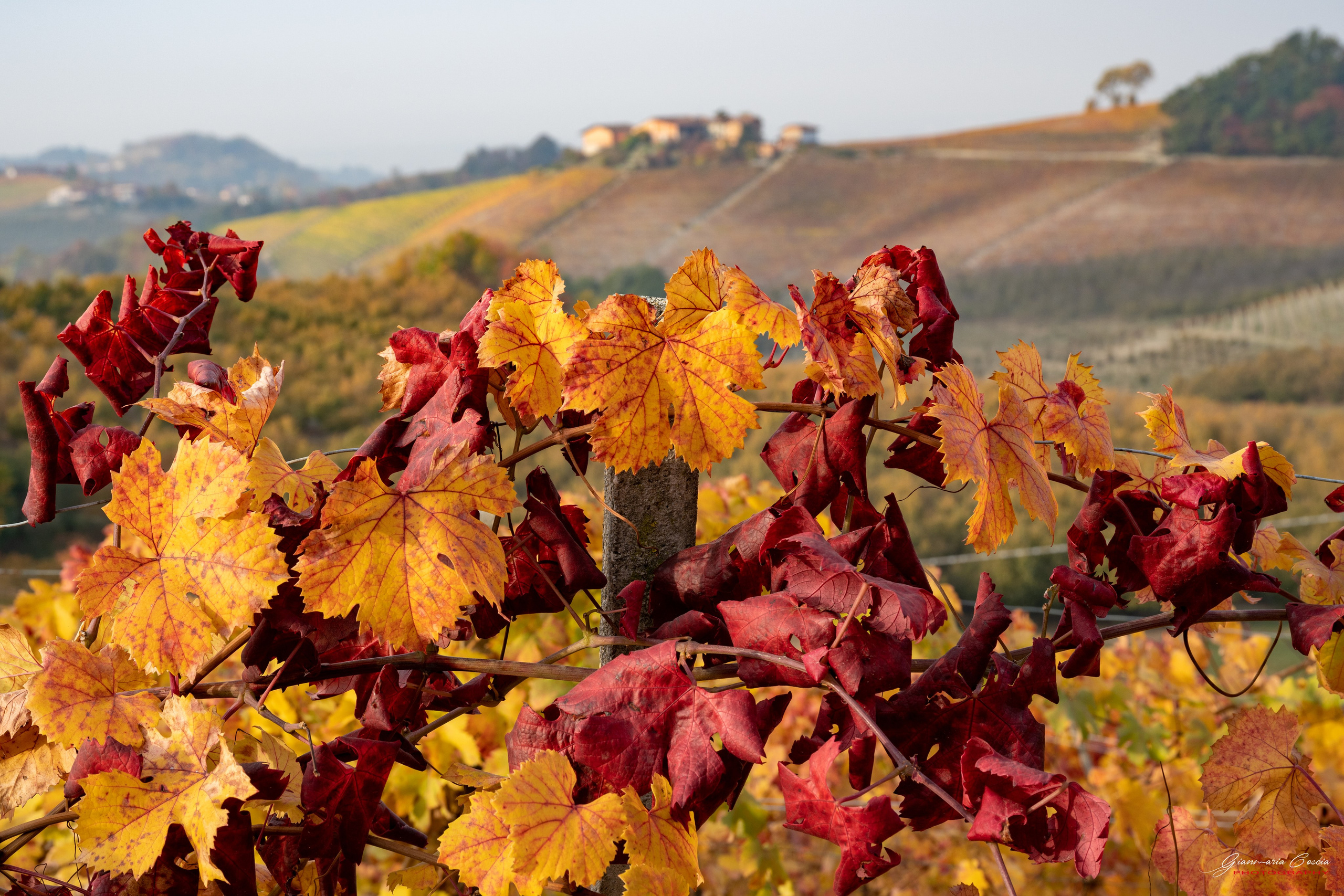 Langhe. “Gianmaria Coscia fotografo per passione”