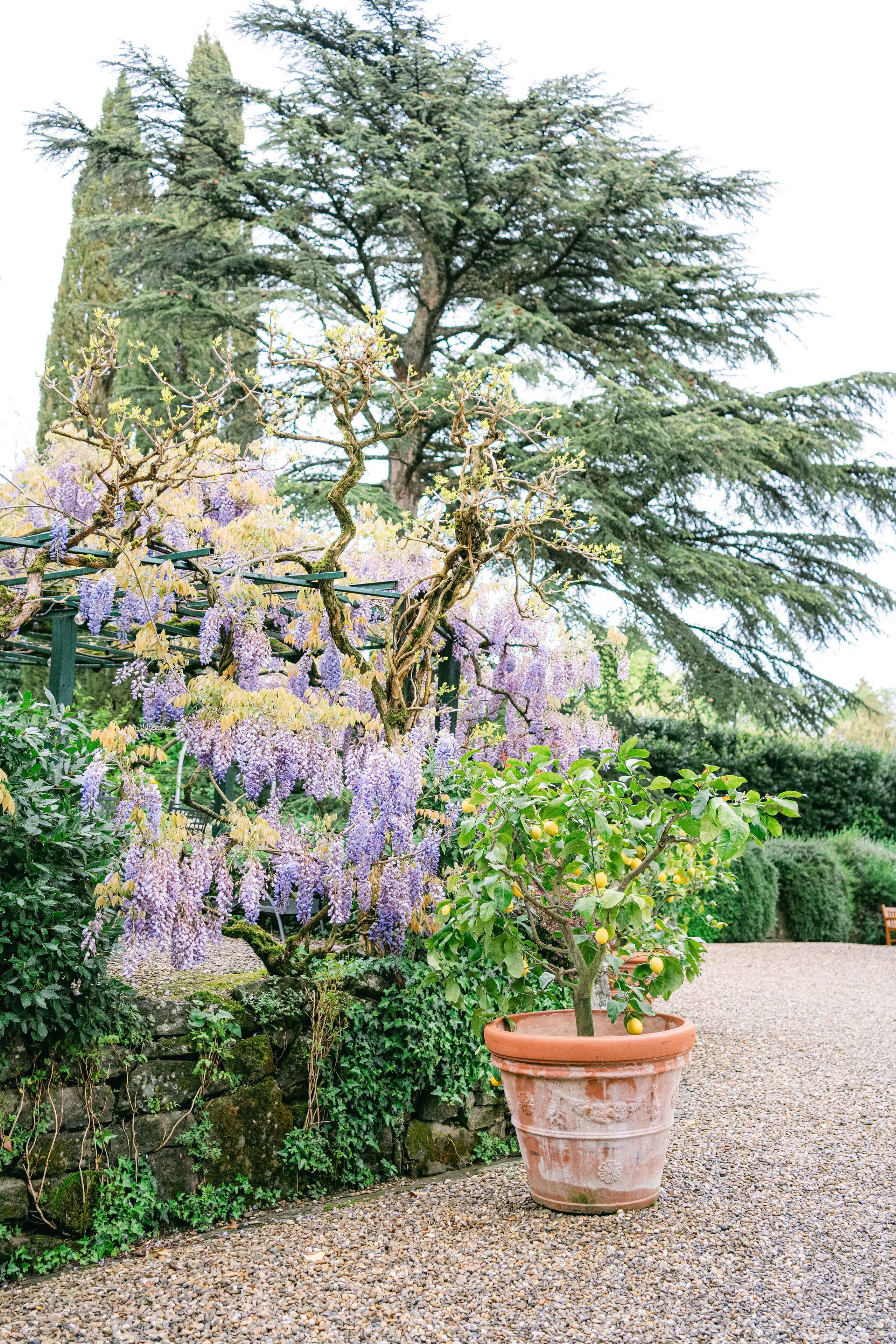 Destination in Tuscany | Italy