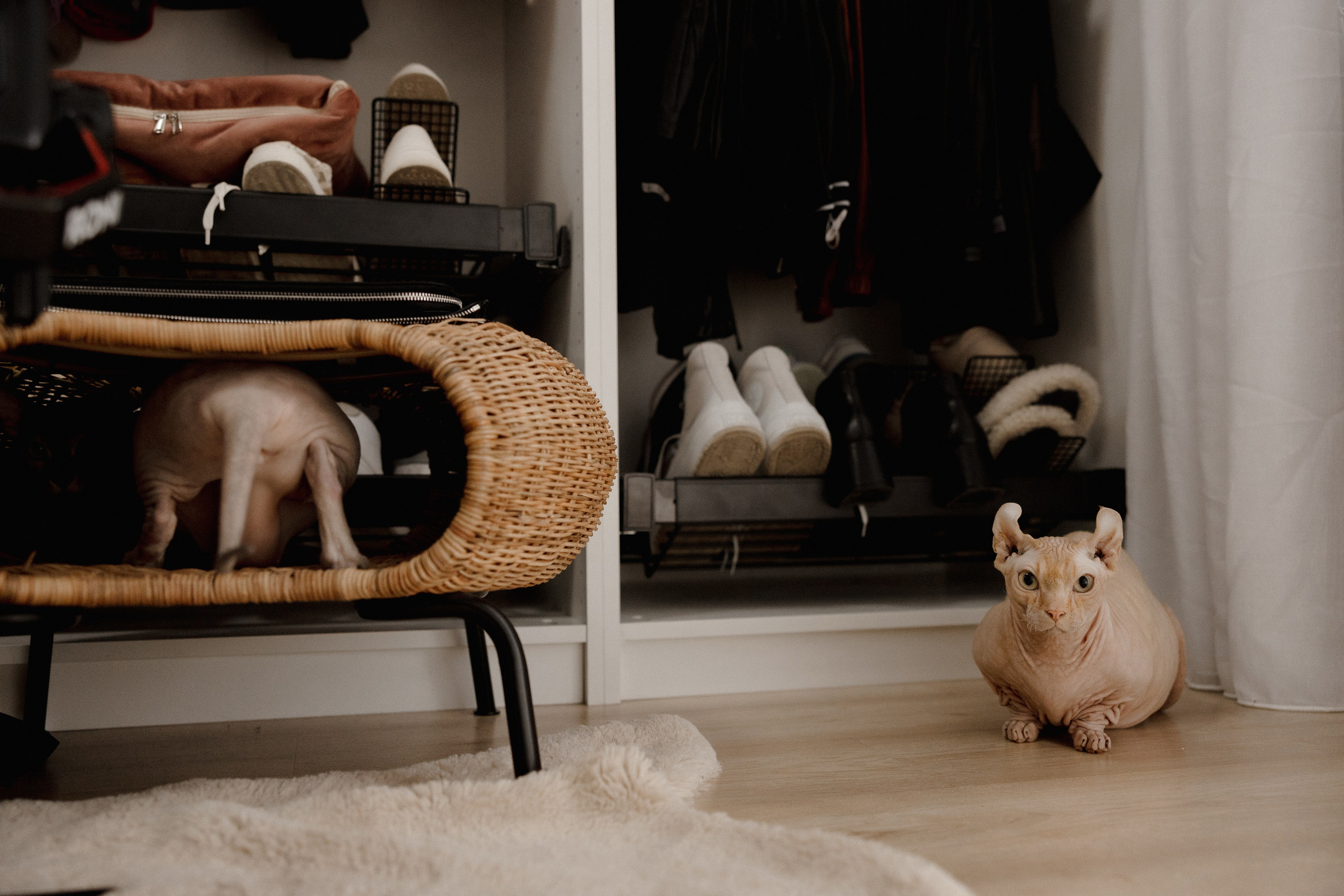 Wedding. Азимжан Нуритдинходжаев — свадебный фотограф