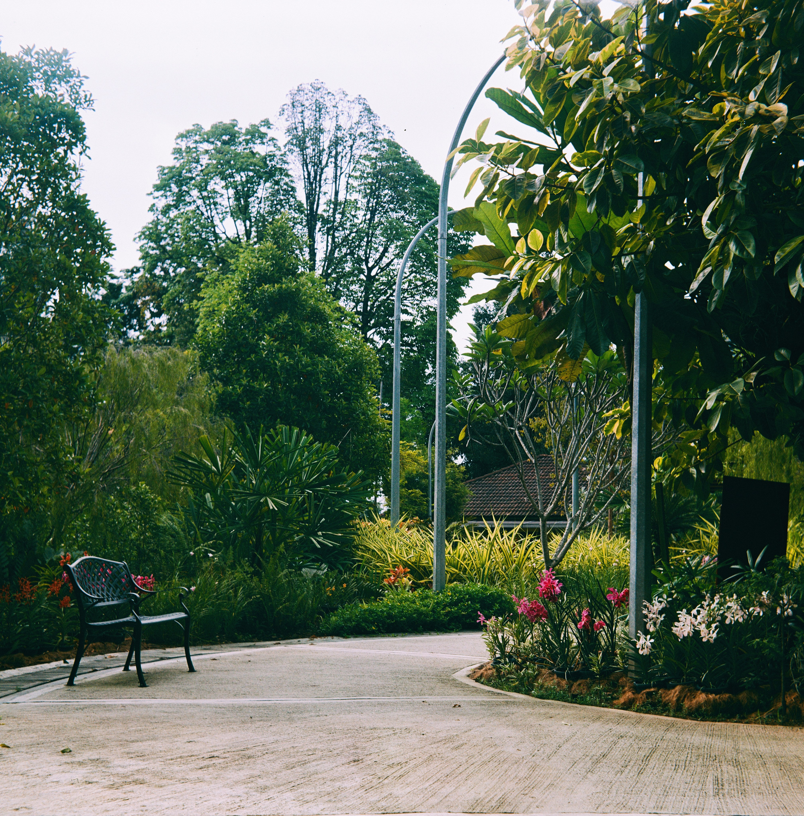 KL Orchid Garden | Barely Somewhere Studio