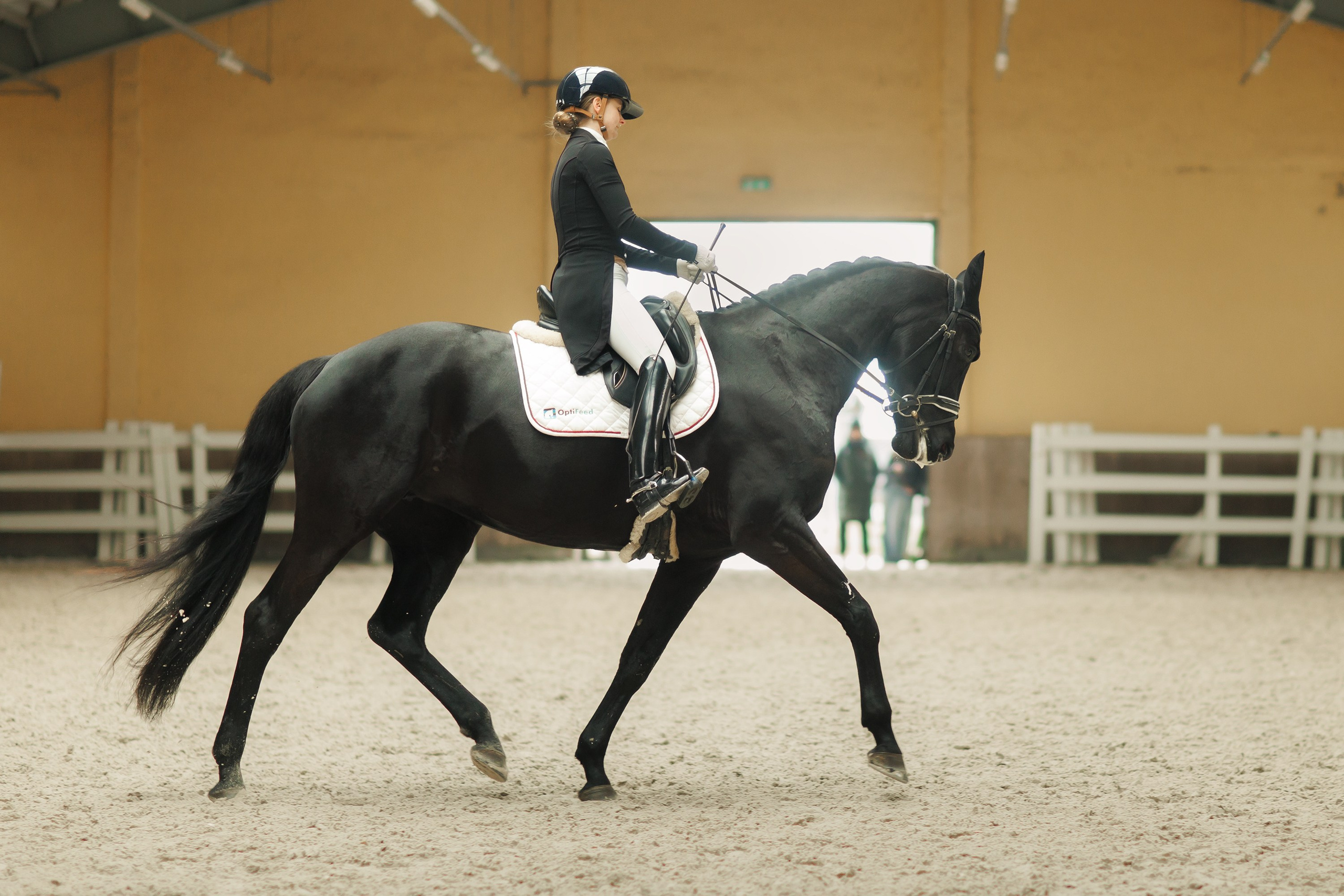 Partynice dressage \ feb'25. Kaja | fotograf we Wrocławiu | ludzie i psy