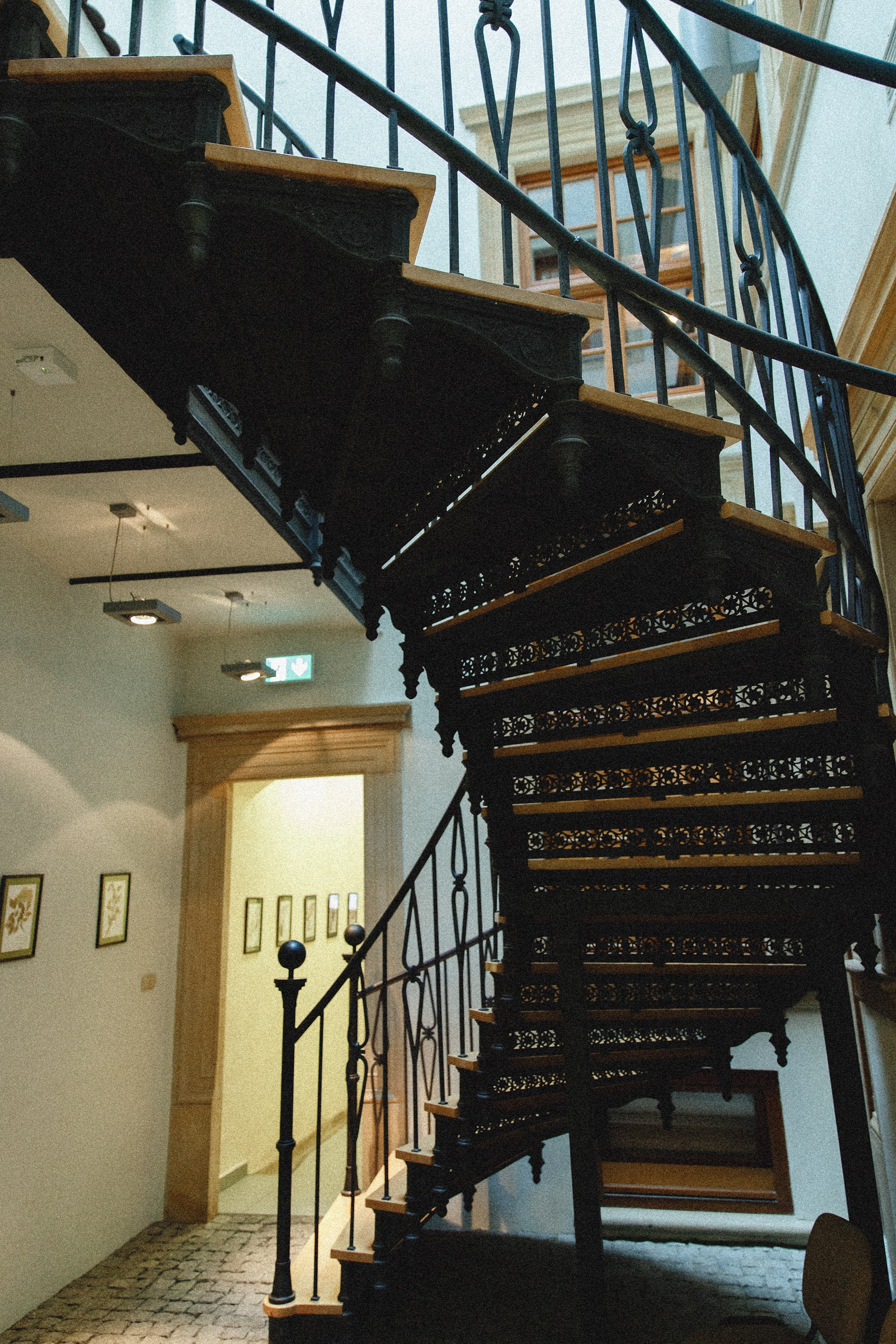 Museum of farmacy in Wroclaw. Kaja | fotograf we Wrocławiu | ludzie i psy