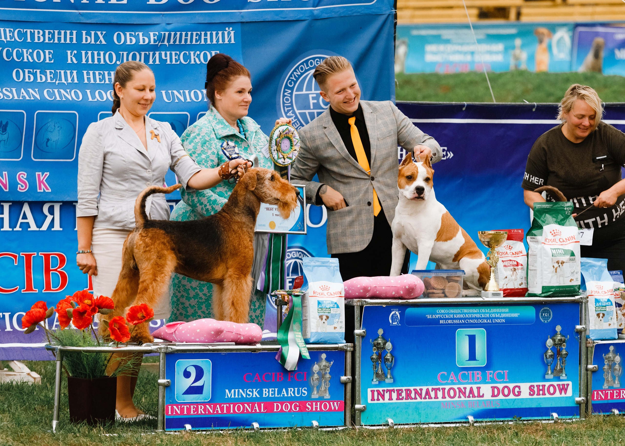 Dog shows | the best ones. Kaja | fotograf psów we Wrocławiu