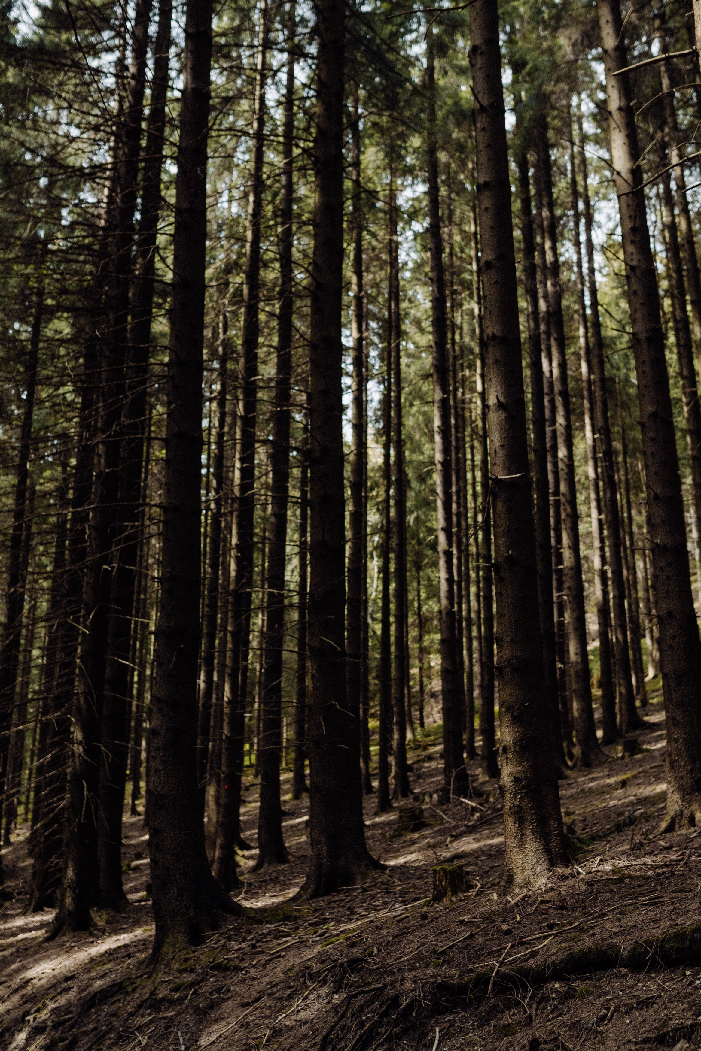 Czech Republic. Фотограф в Праге Анна Лебедева