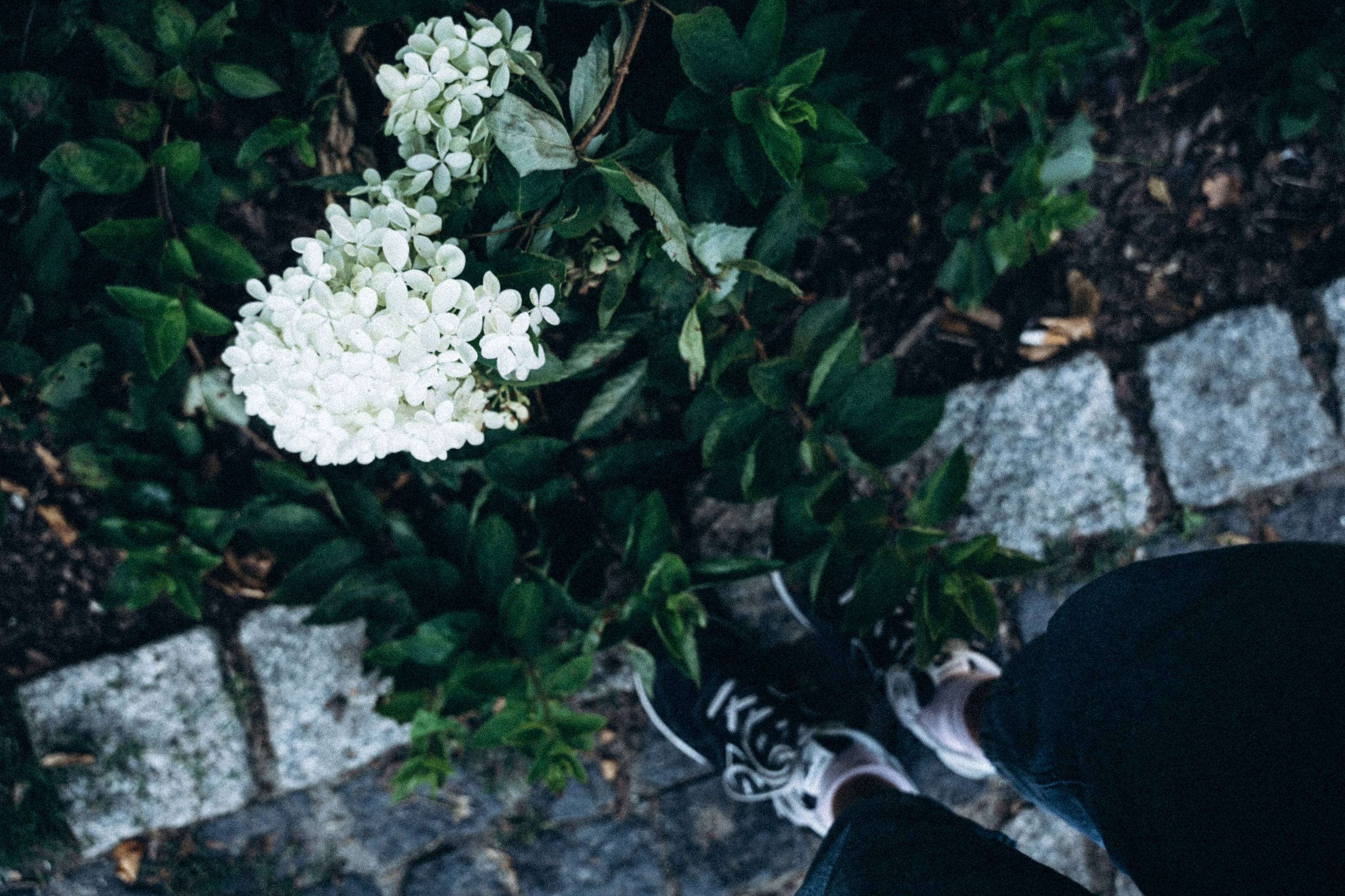 Вроцлав, Польша 🇵🇱. Anita_photo