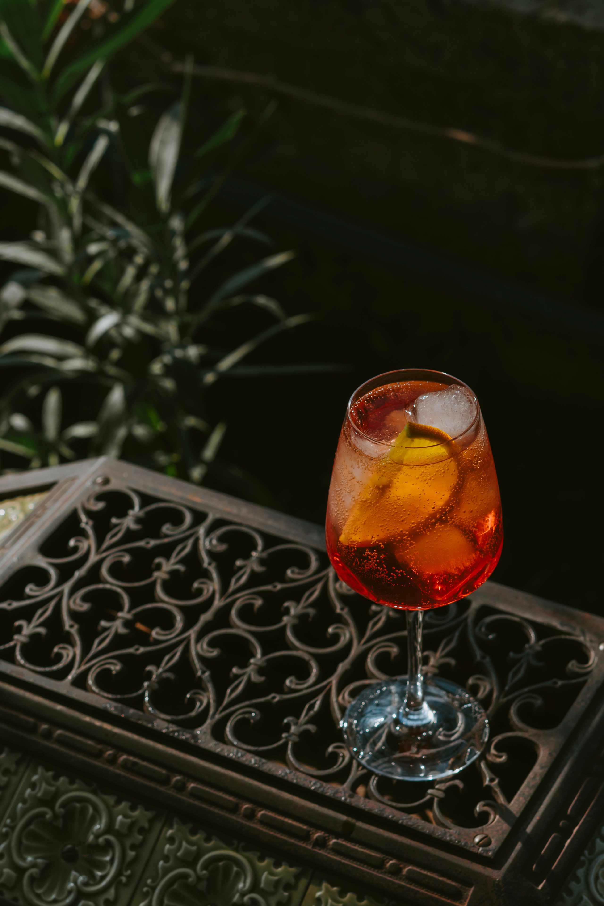 Food. Photographer and videographer for business in Tbilisi Catrine Poznyak