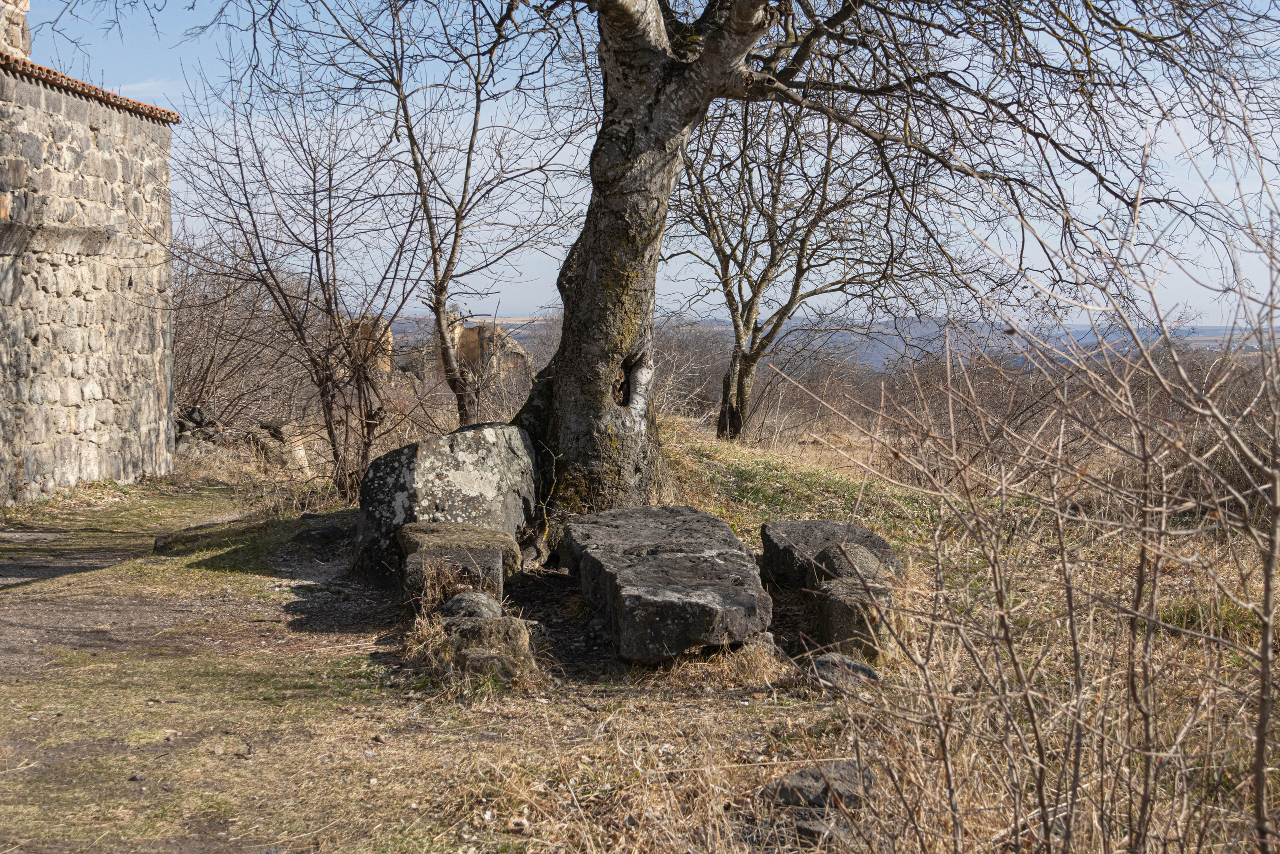 სამშვილდე. FramefreeMan