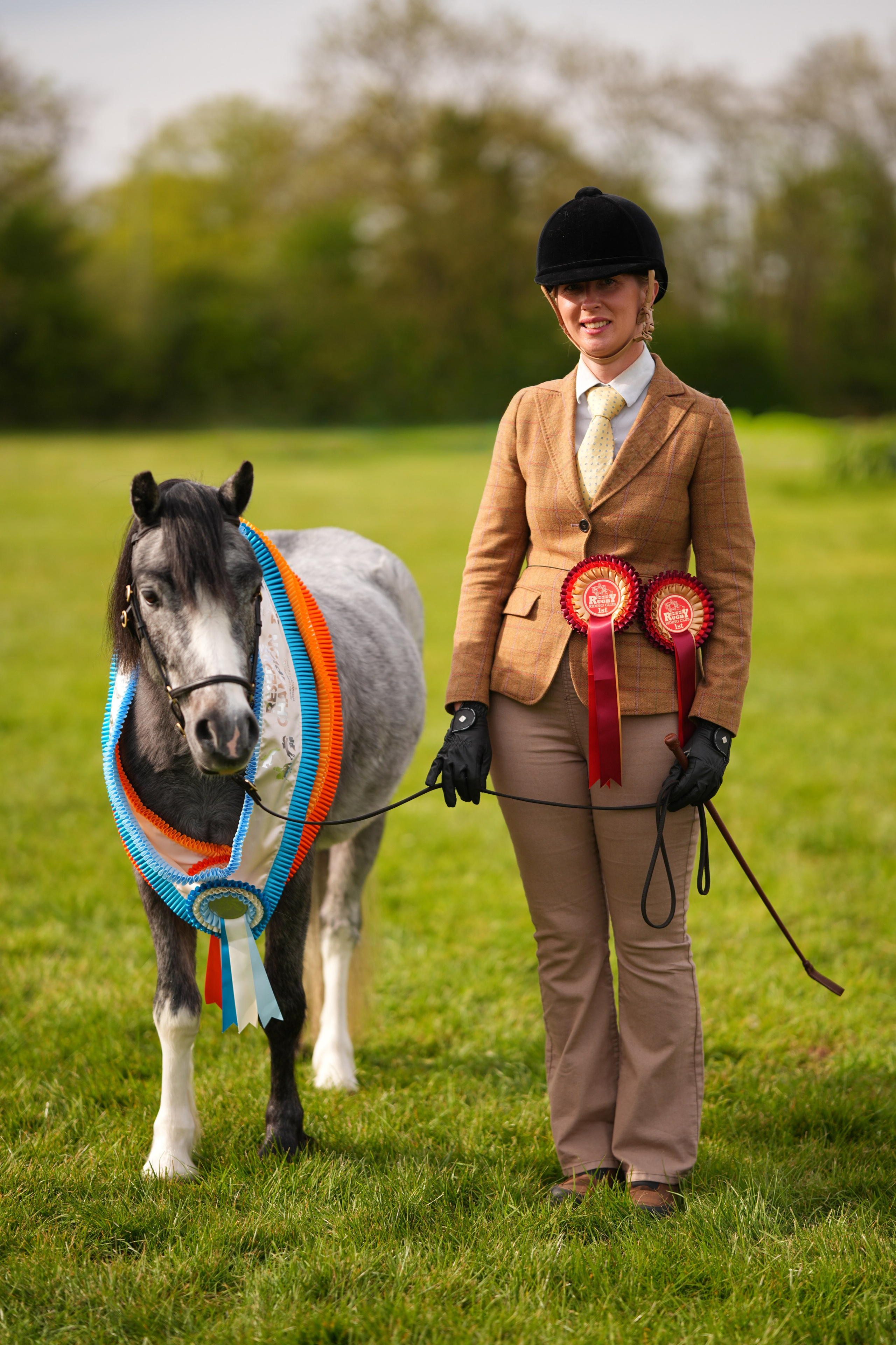 Showing. Leicestershire Equine Photography by El | Authentic Equine Portraits & Events