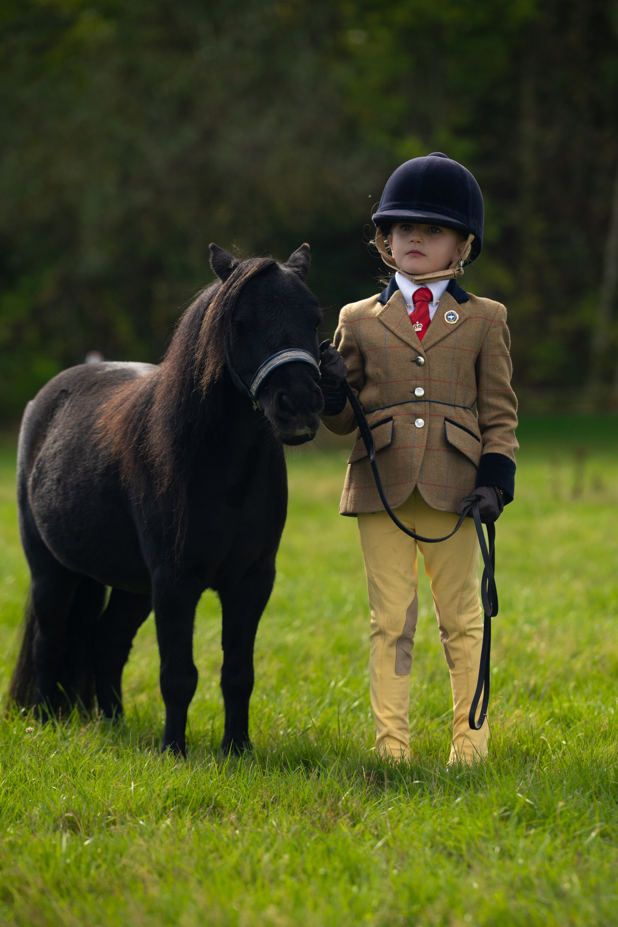 Showing. Leicestershire Equine Photography by El | Authentic Equine Portraits & Events