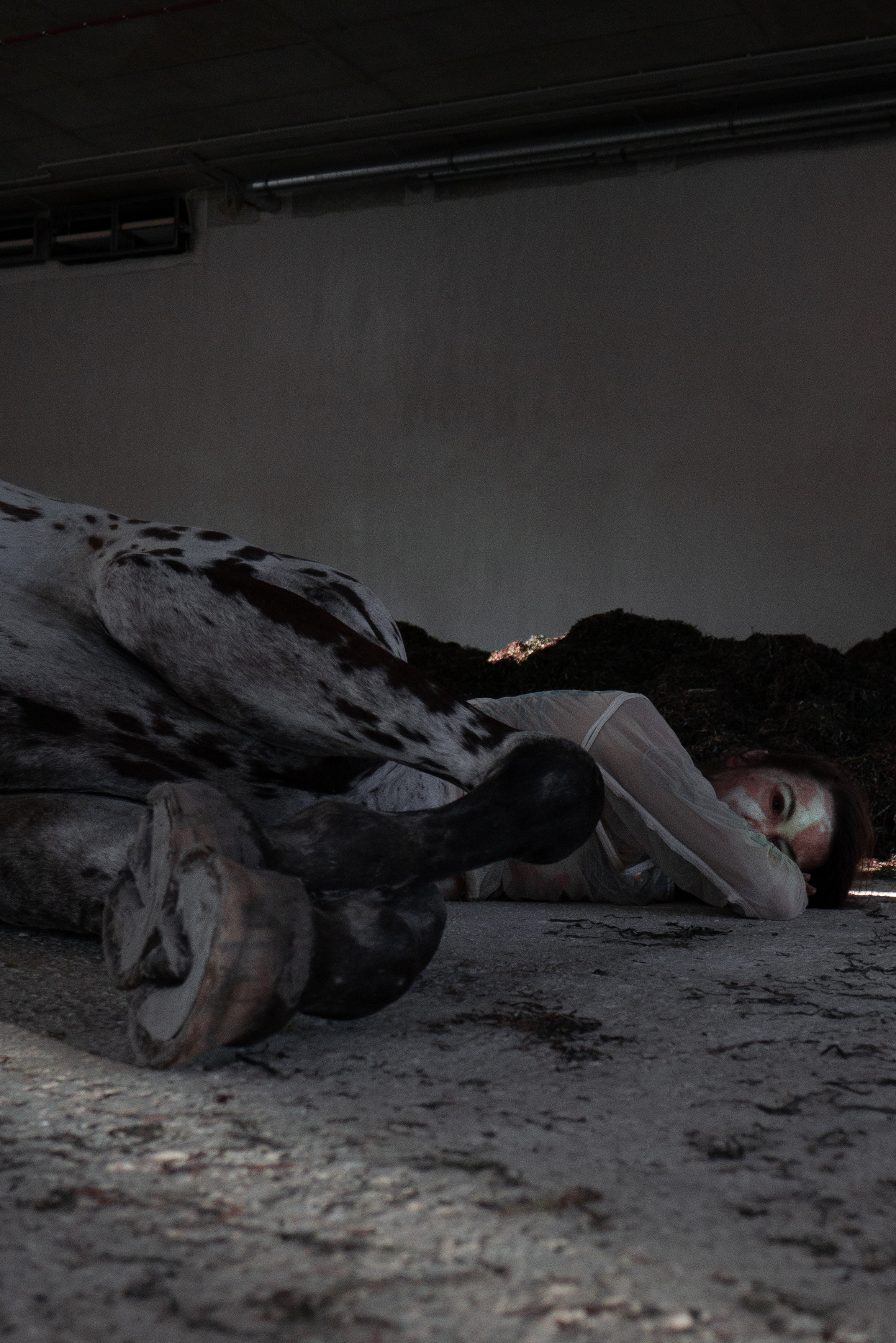 My shoots. Astalovskaya Videographer