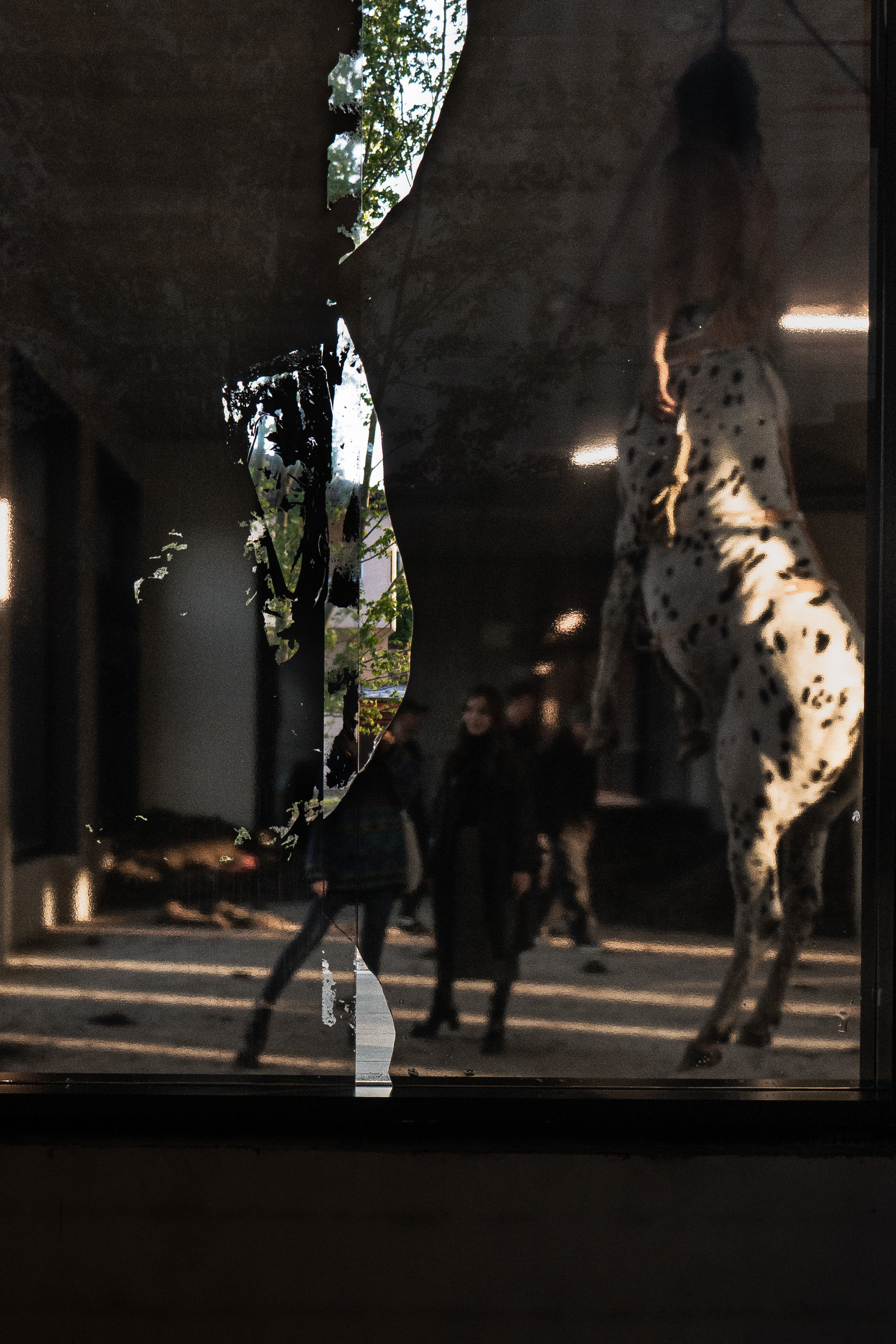 My shoots. Astalovskaya Videographer