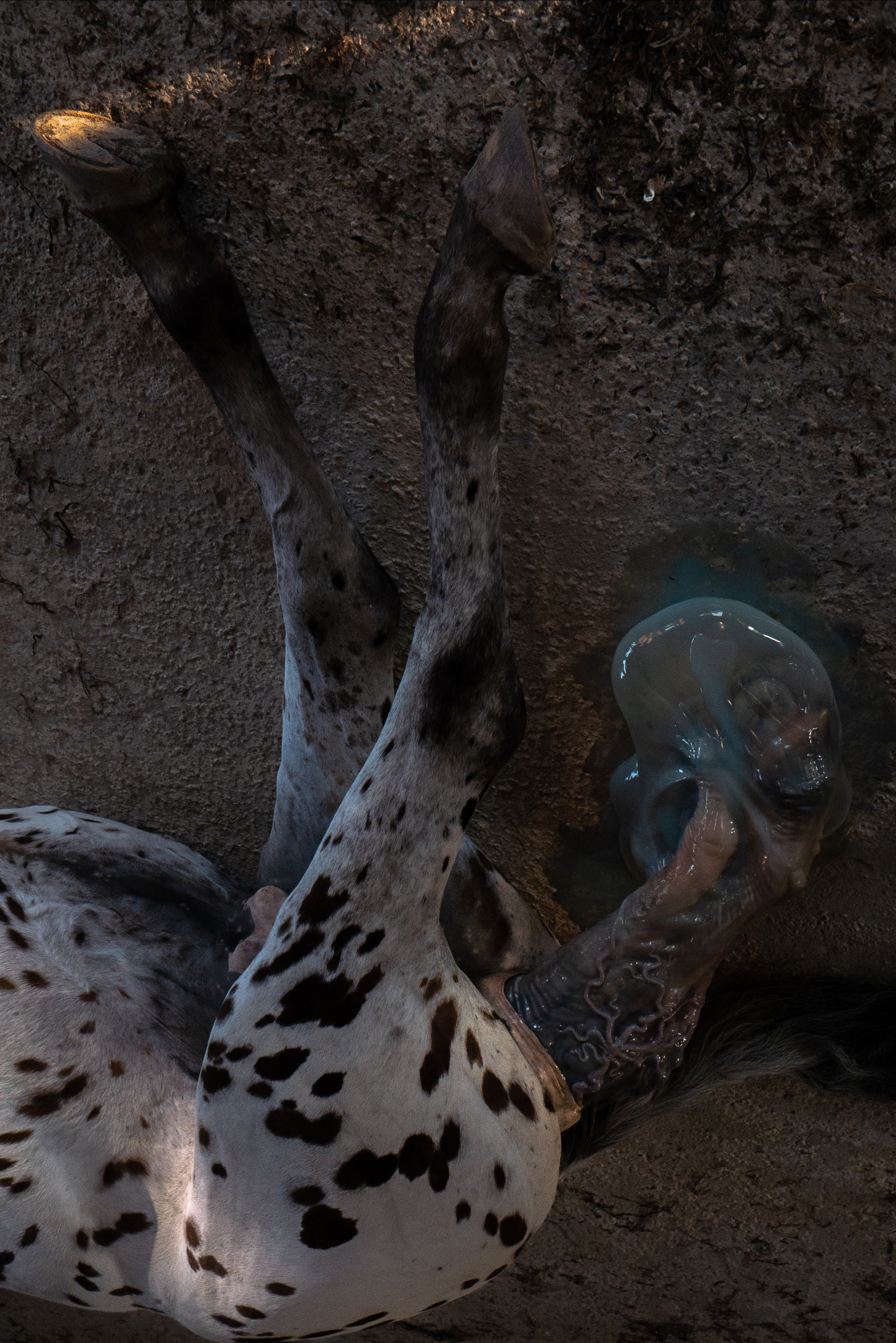 My shoots. Astalovskaya Videographer