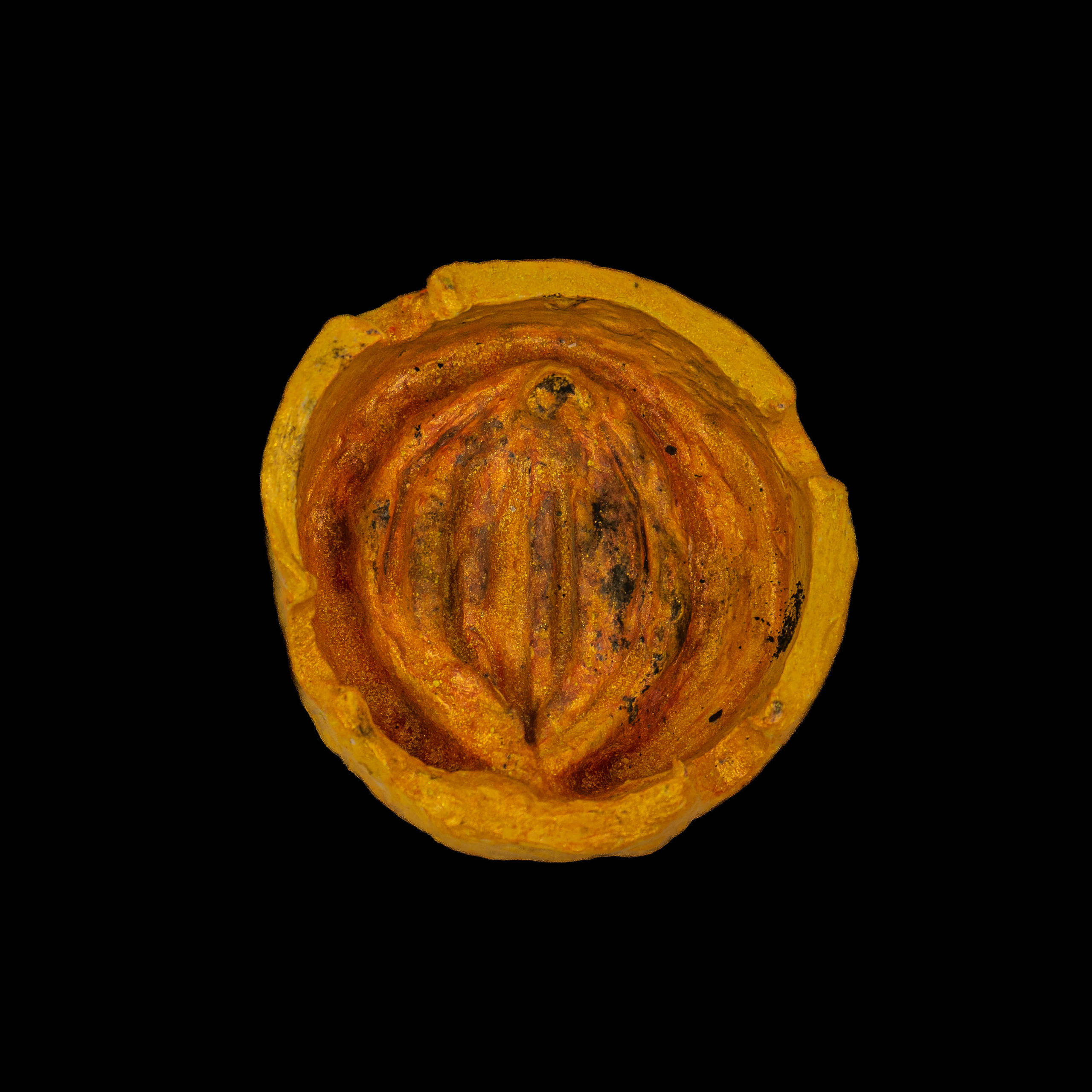 My shoots. Astalovskaya Videographer