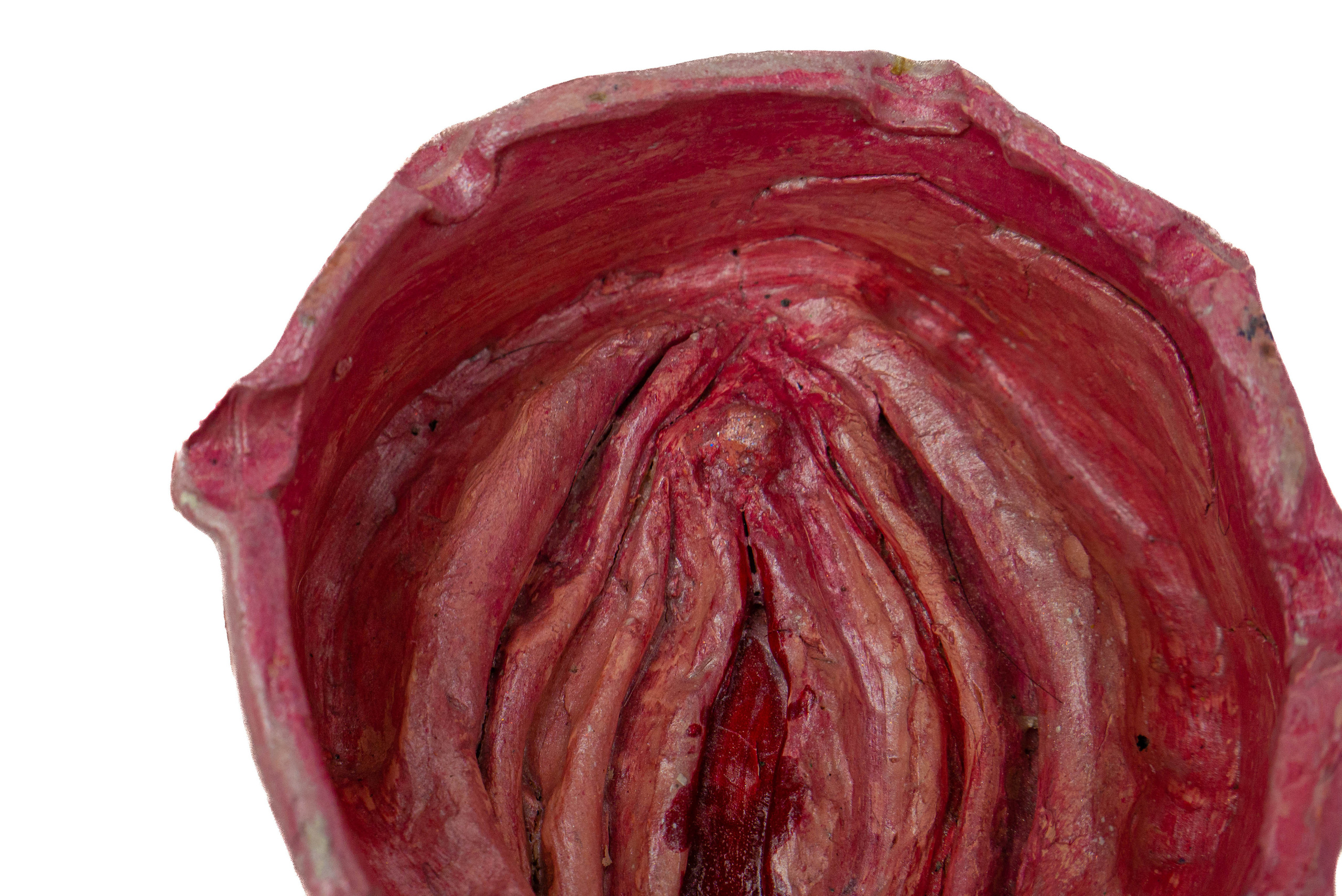 My shoots. Astalovskaya Videographer