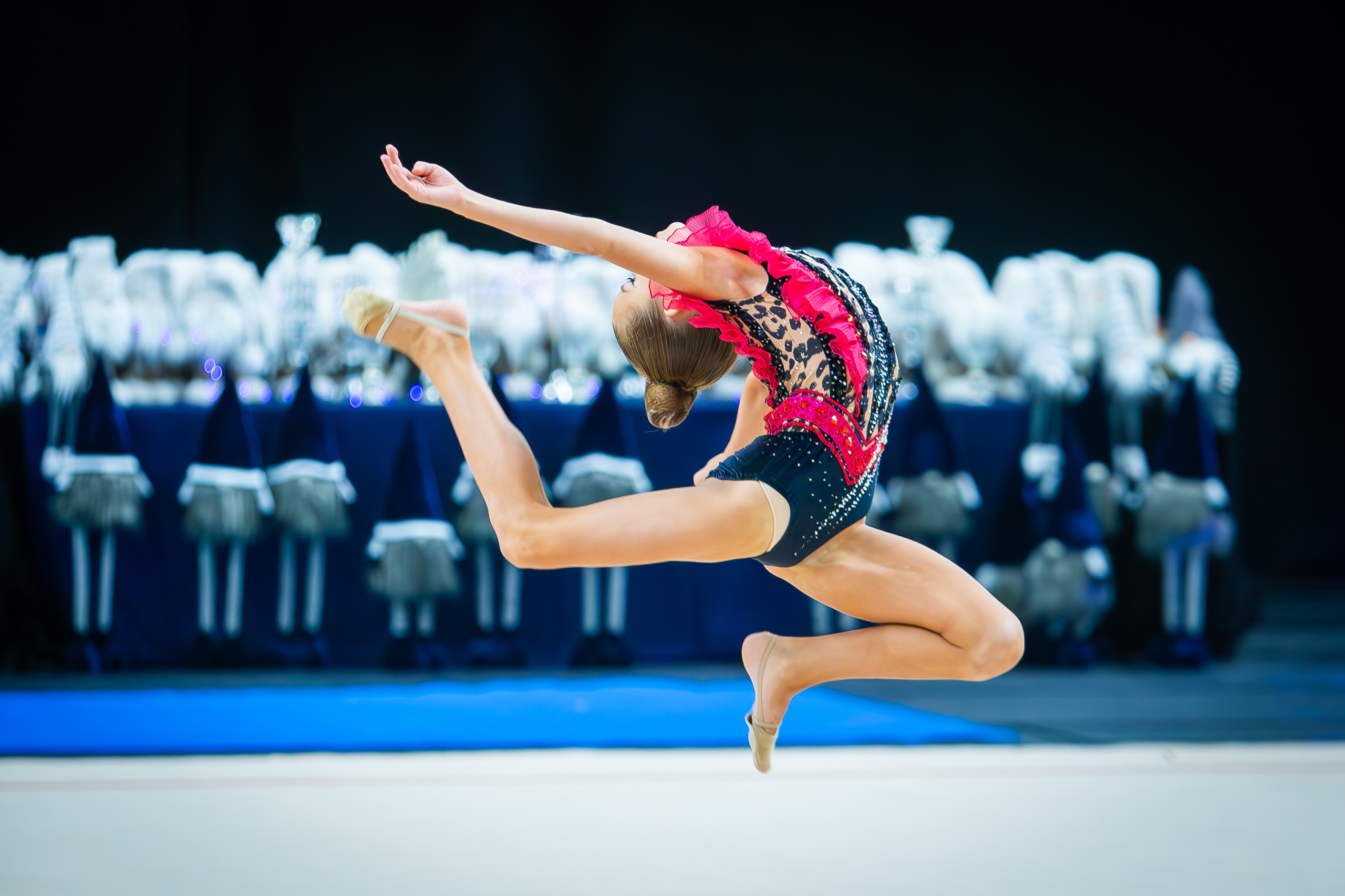 Галерея 2. Спортивная фотография, видео, трансляции