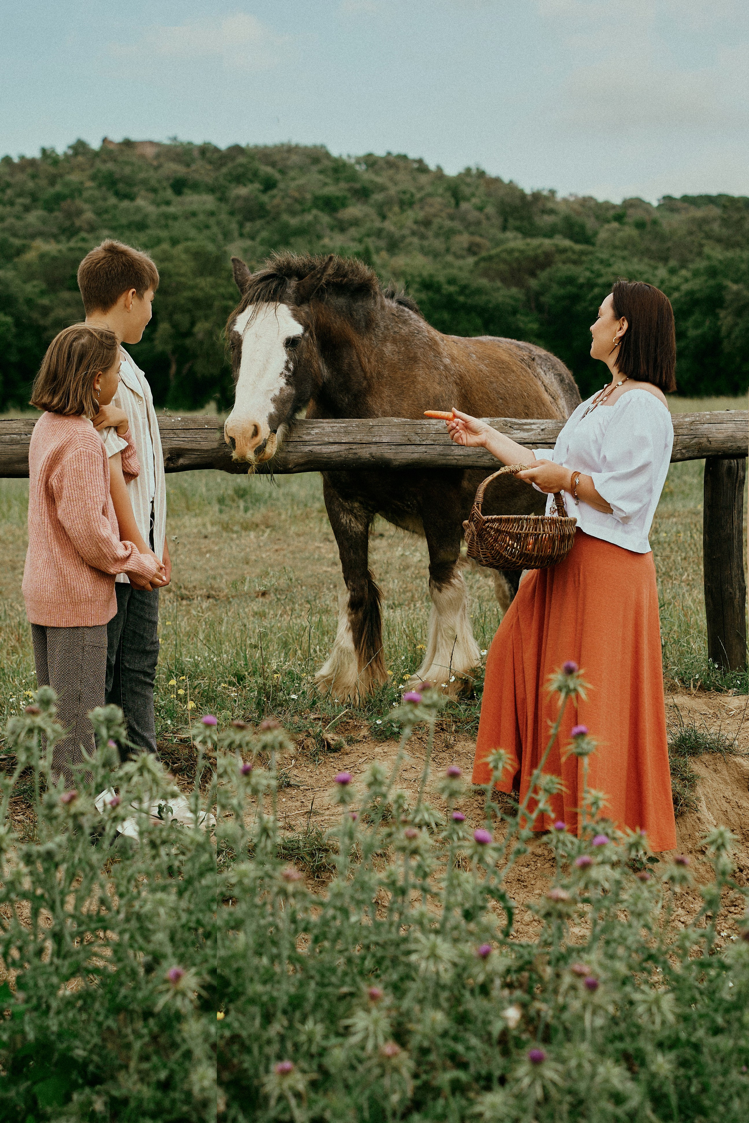 Летний день с лошадьми. Fotógrafa en España Zhanna Zakharchenko