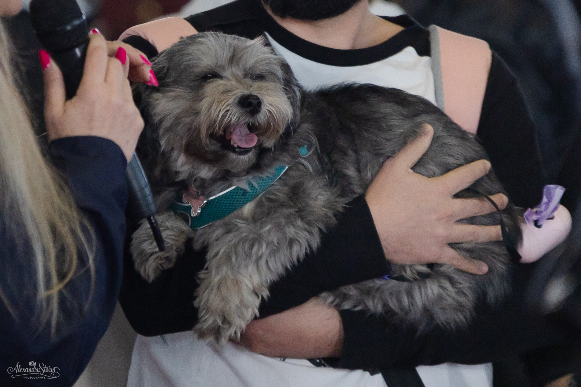 Pet EXPO. Http://www.alexphoto.ro