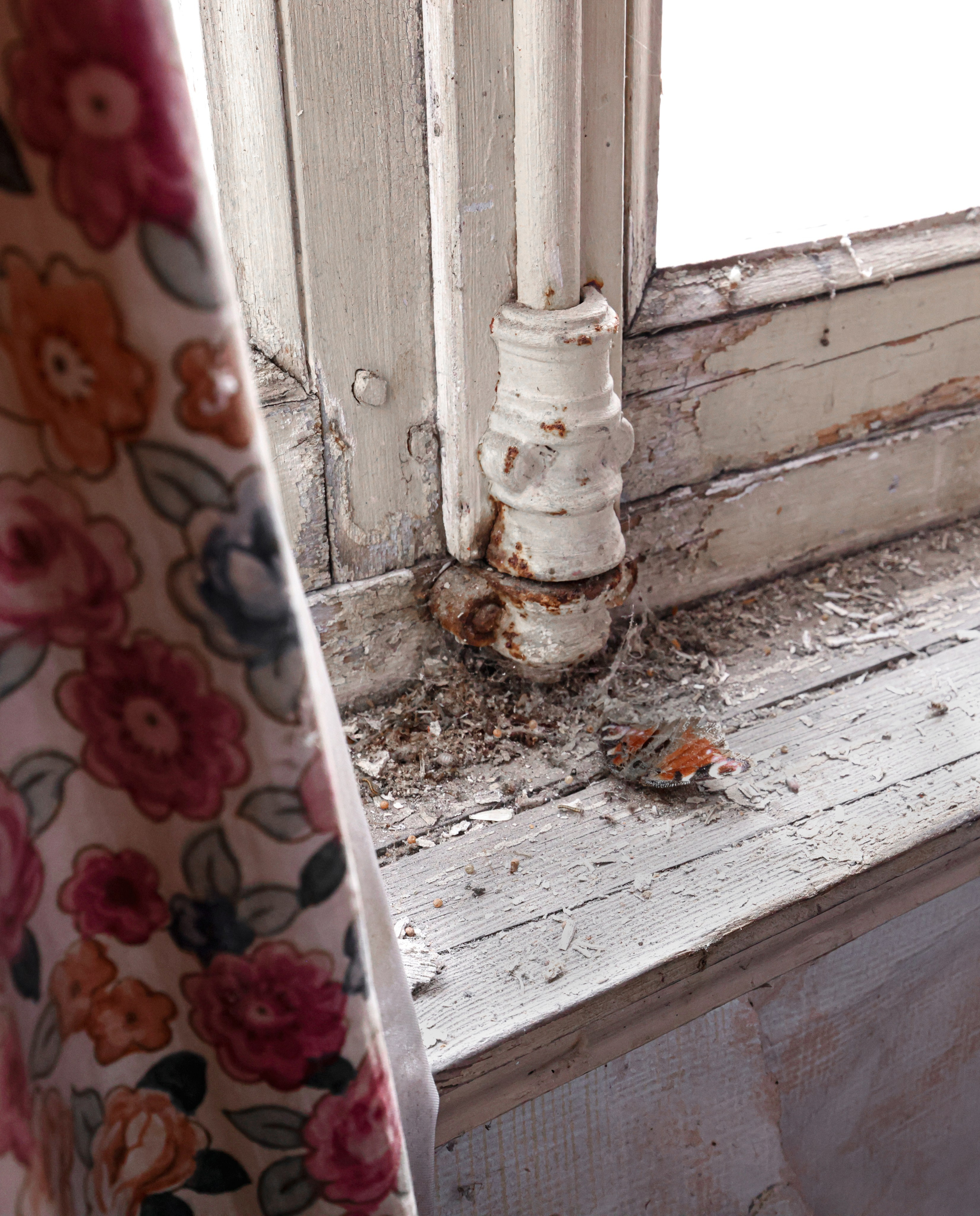 MAISON AU BOIS DORMANT. Natalia Bogdanovska. Films et photographie corporate en France