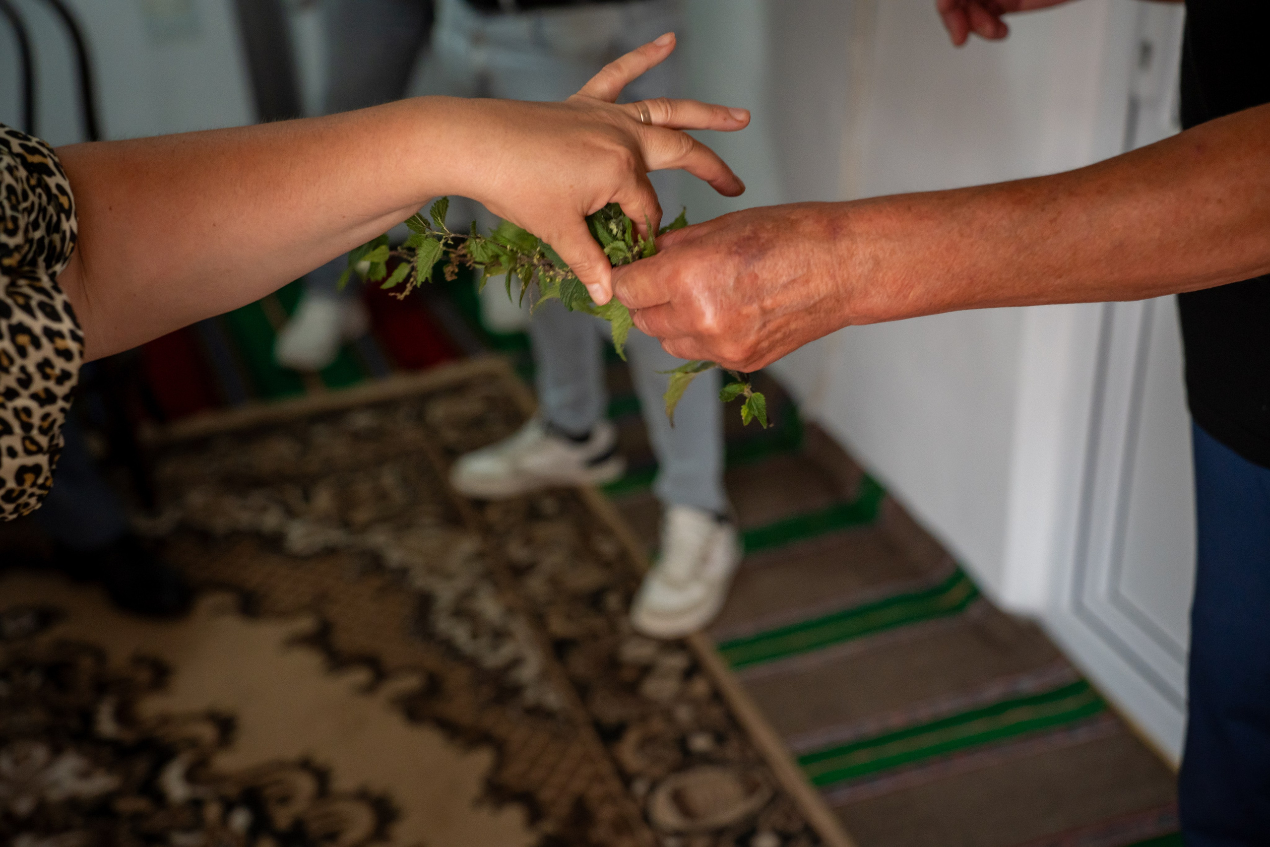 EL & EA - NUNTA NOASTRĂ