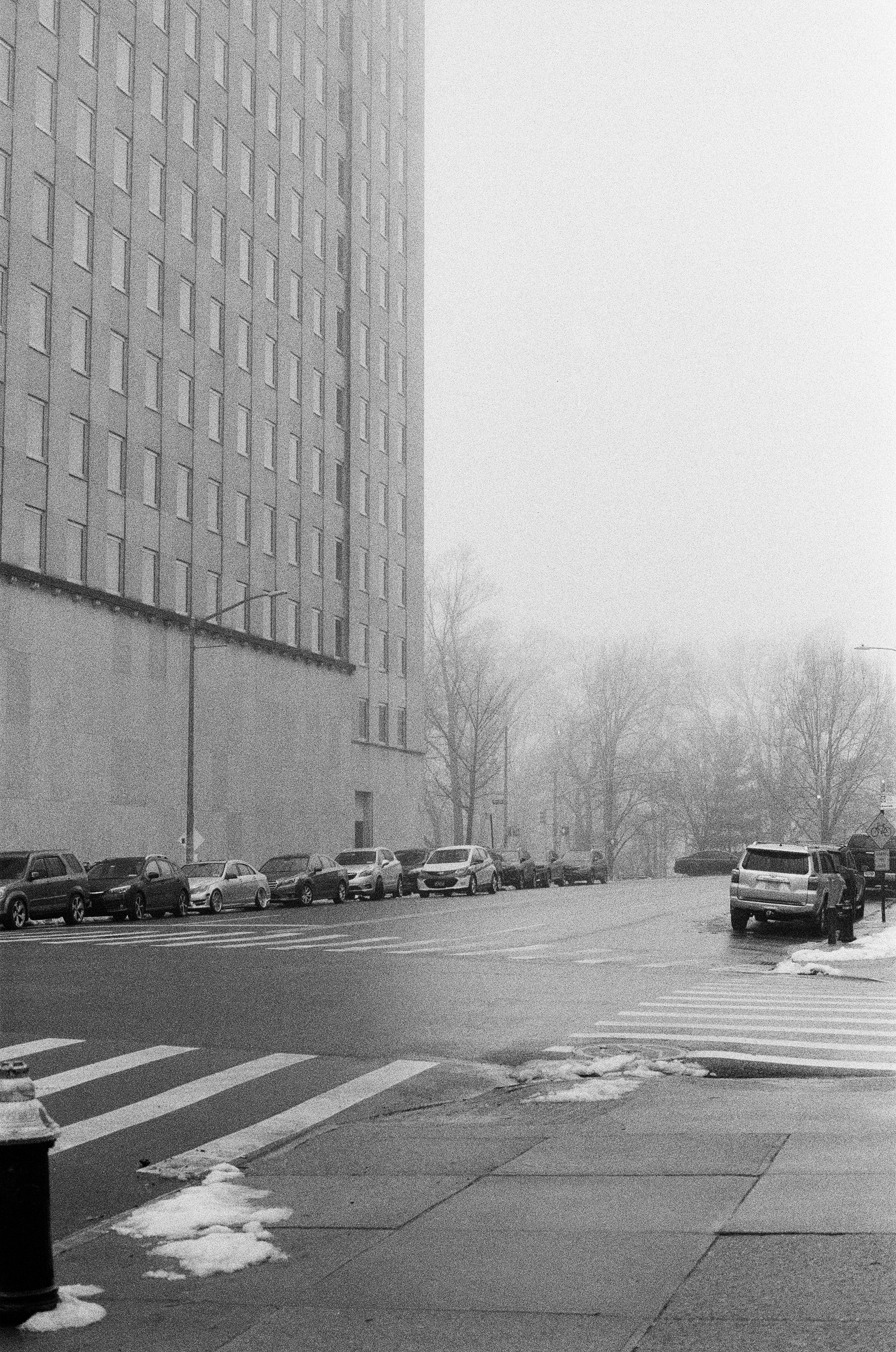 Film. NYC photographer | portraits, couples, graduation