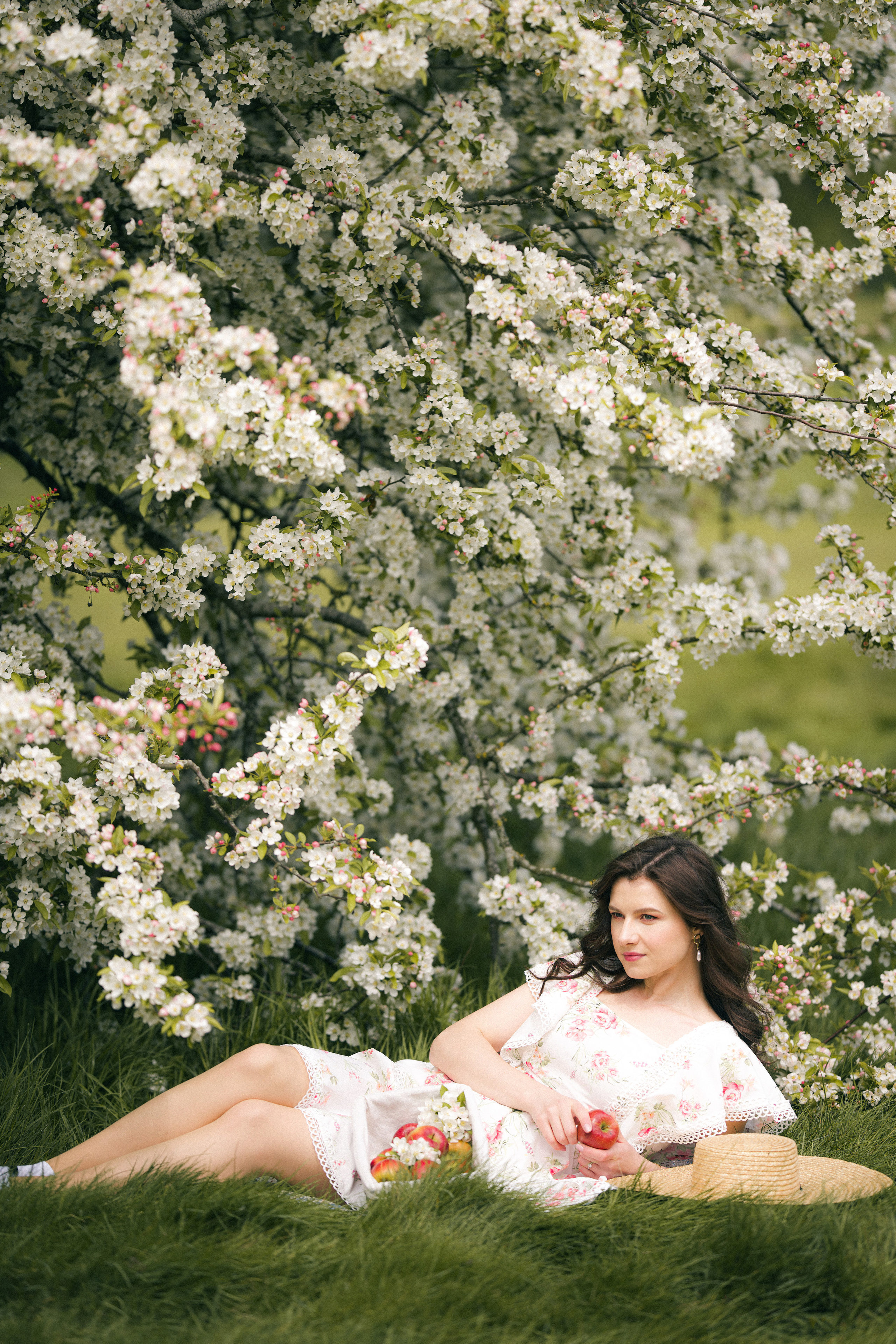 Apple tree. Tania Gandrabur, photographer in West Midlands, England