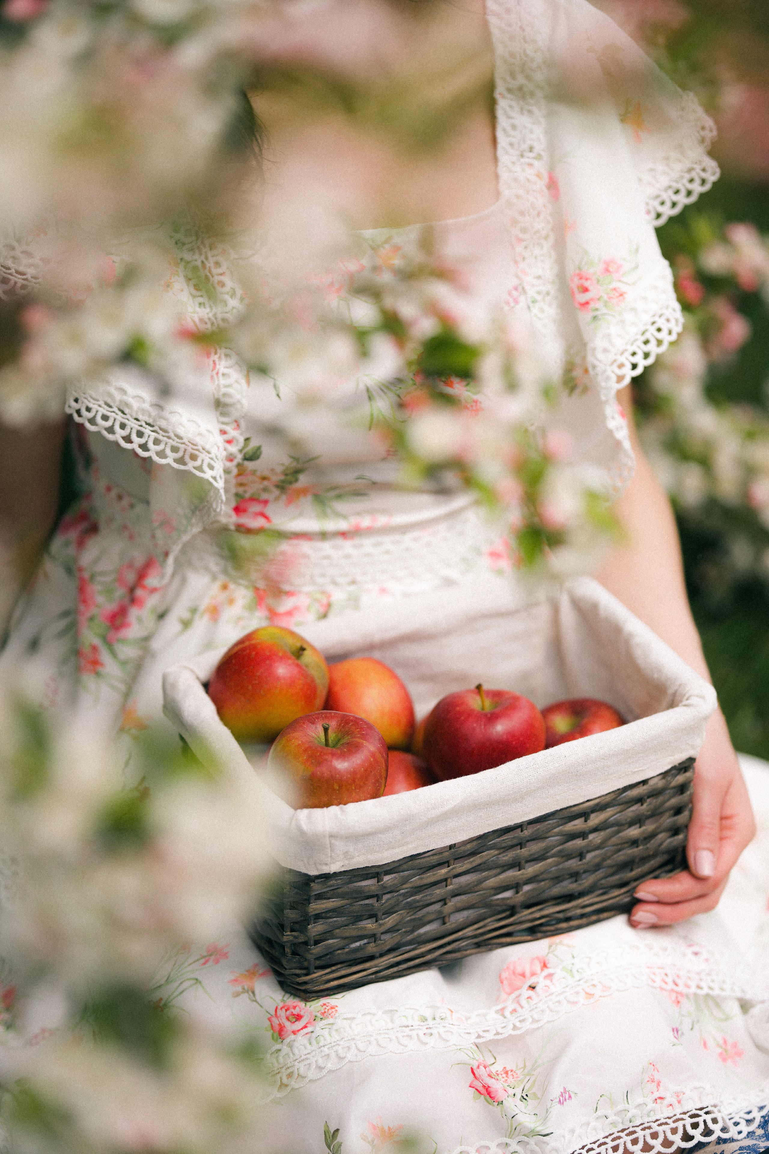 Apple tree. Tania Gandrabur, photographer in West Midlands, England