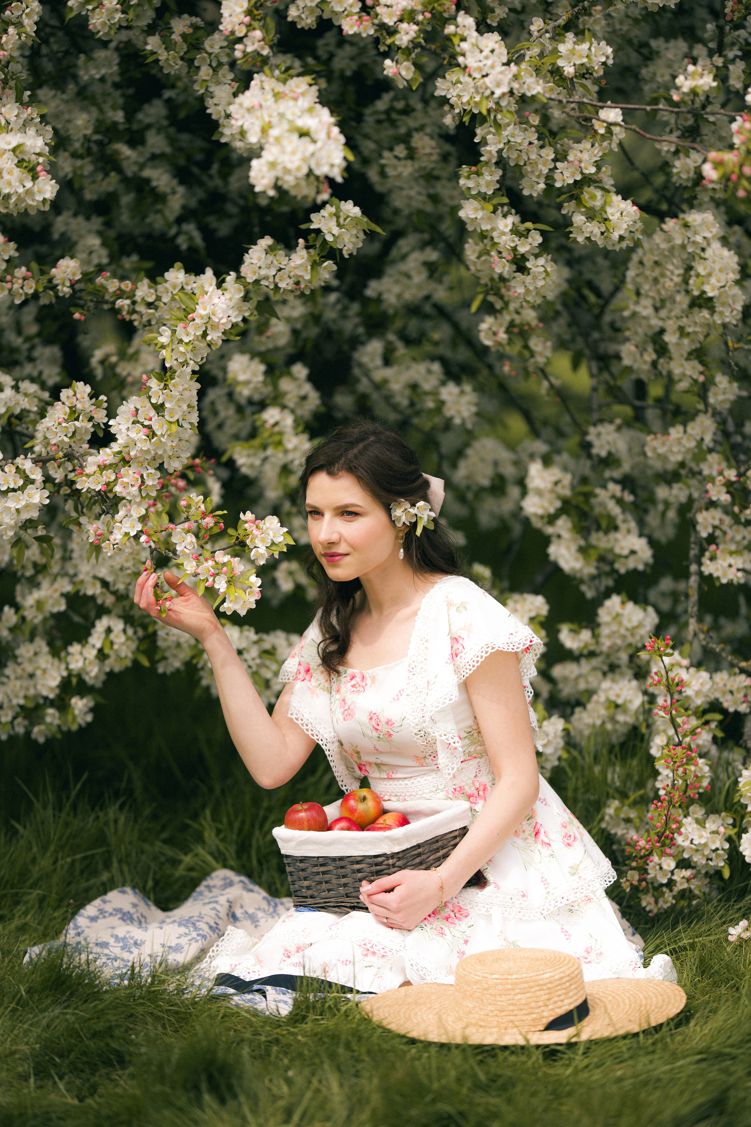 Apple tree. Tania Gandrabur, photographer in West Midlands, England
