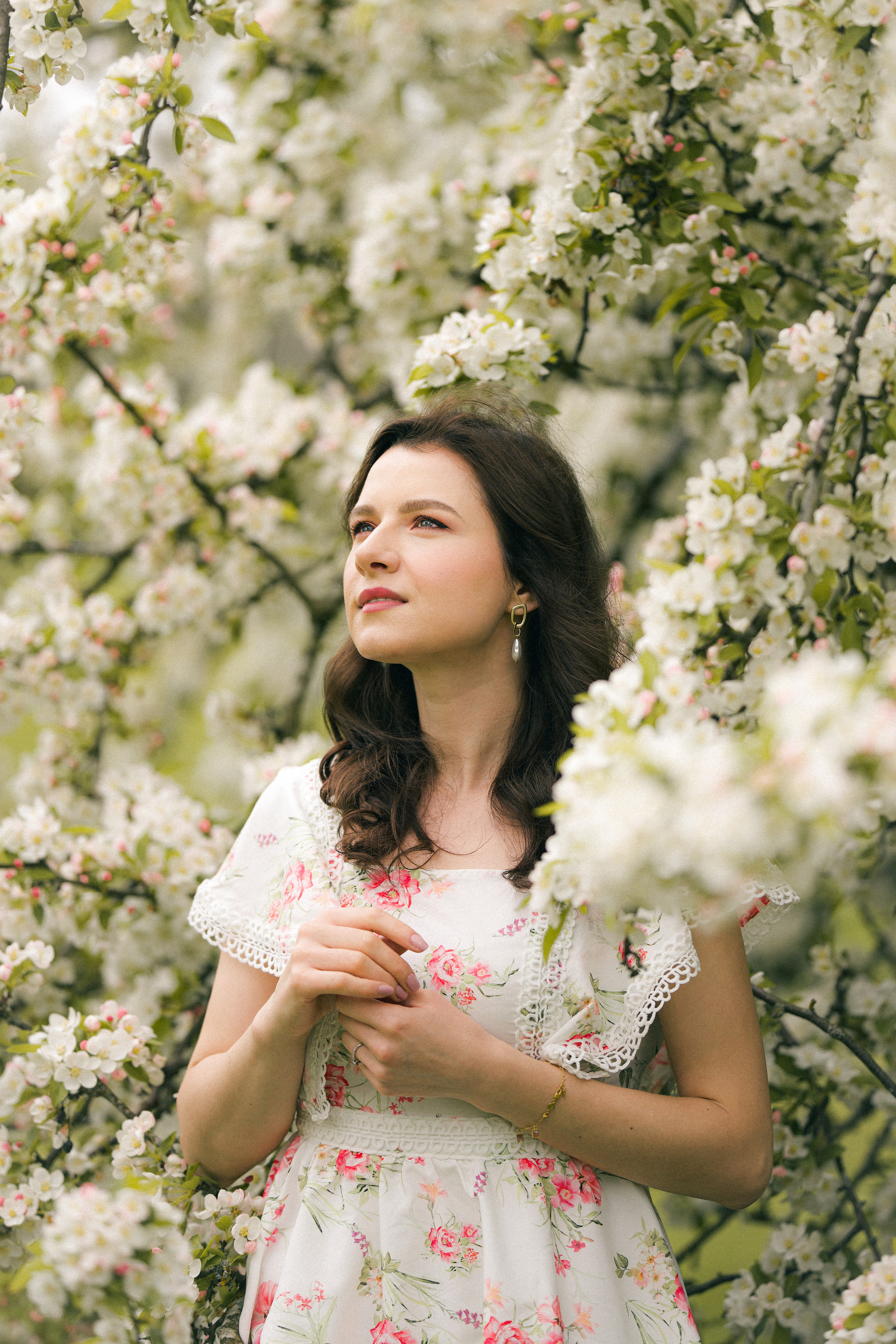 Apple tree. Tania Gandrabur, photographer in West Midlands, England
