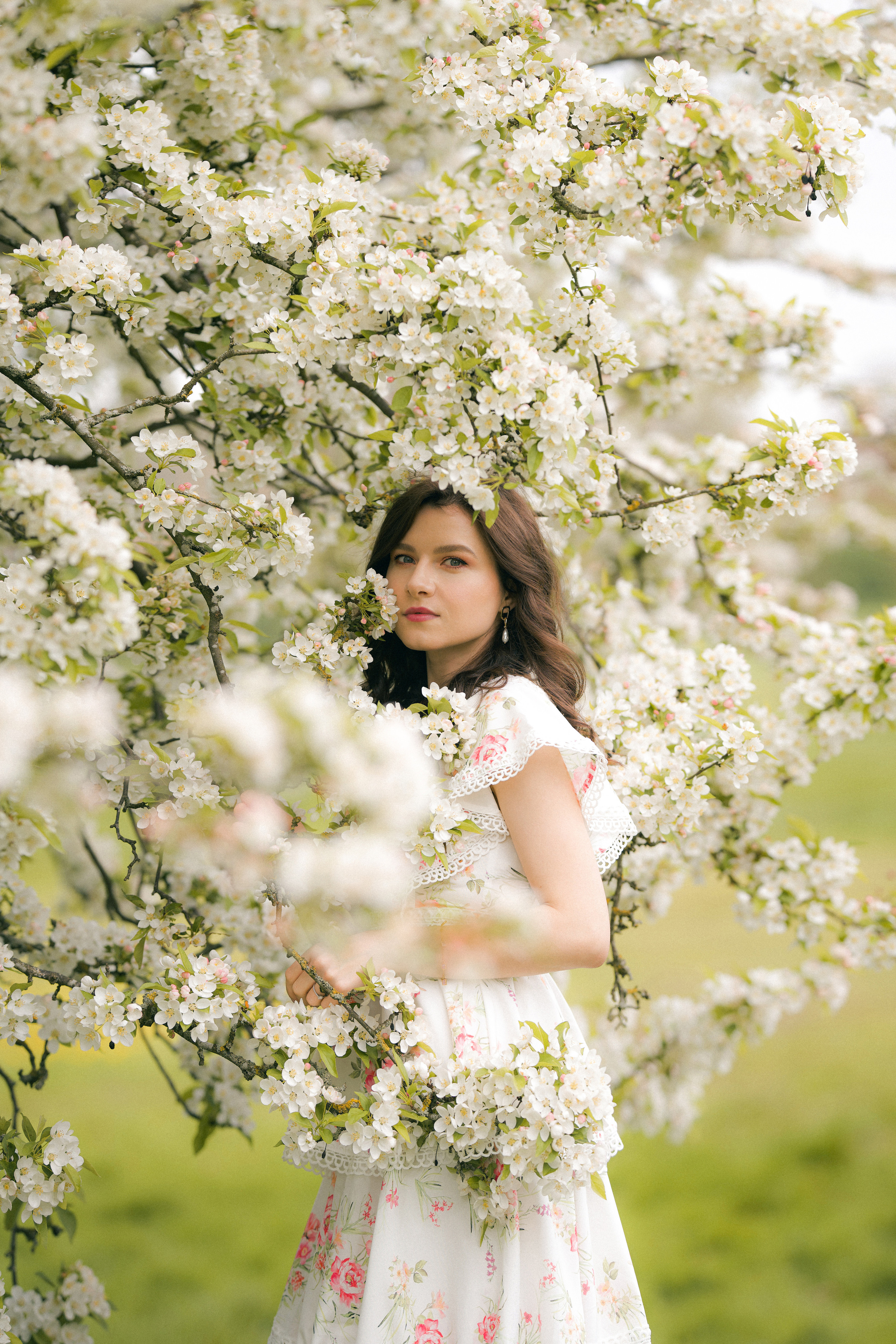 Apple tree. Tania Gandrabur, photographer in West Midlands, England