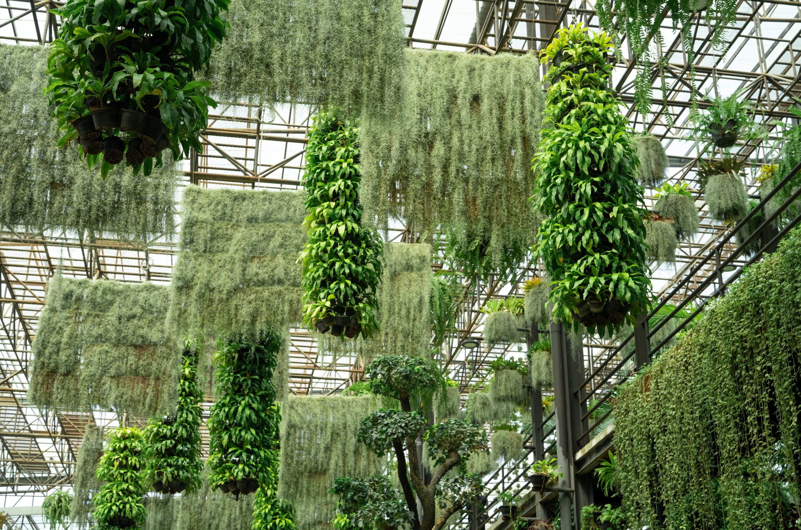 Μπαλκόνι με κρεμαστά φυτά. Geoponitikon-Όταν η Επιστήμη συναντά την Τέχνη στο Φυσικό Τοπίο!