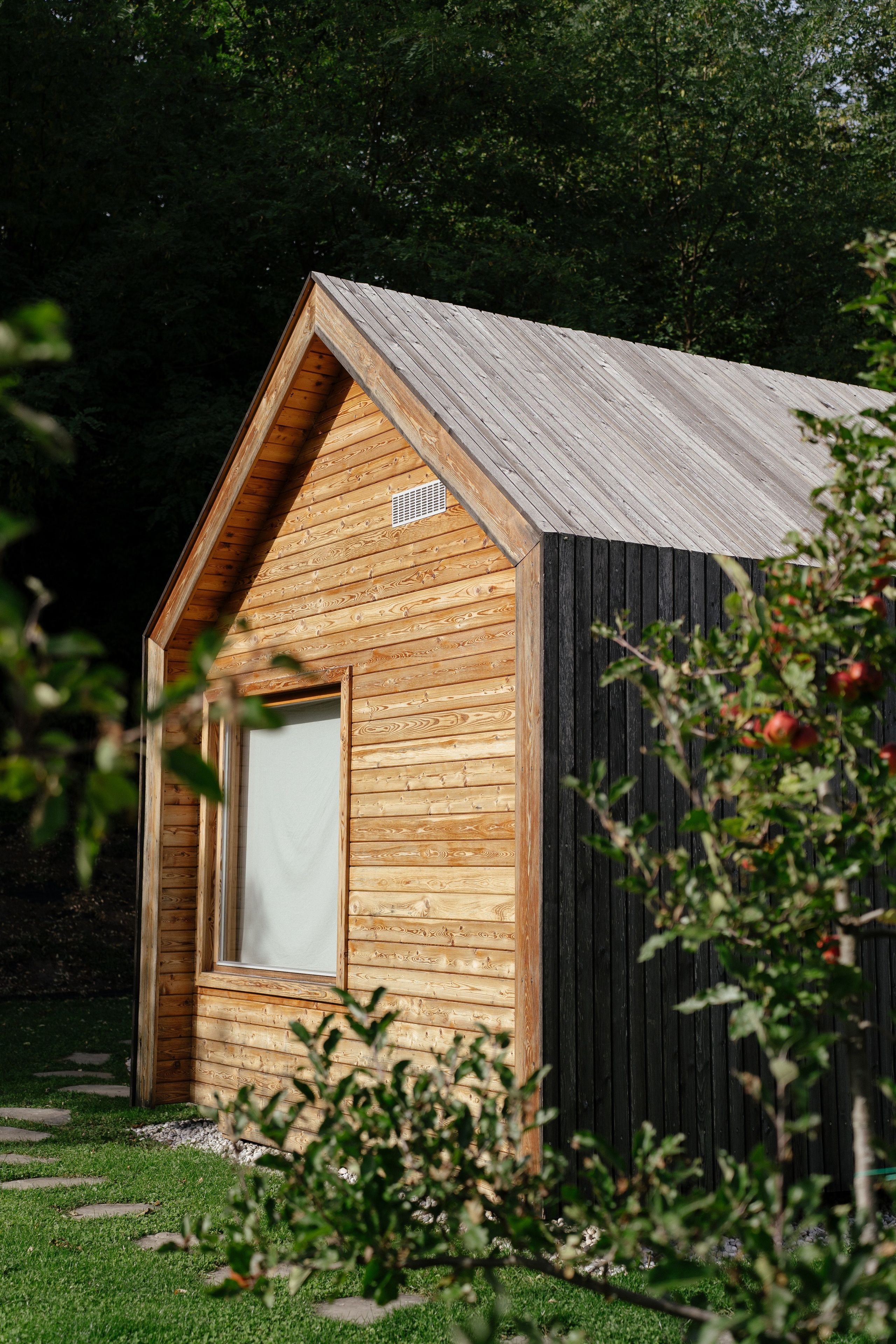 Airbnb. Patricia Morenci — Mountain Adventures for the Wild at Heart