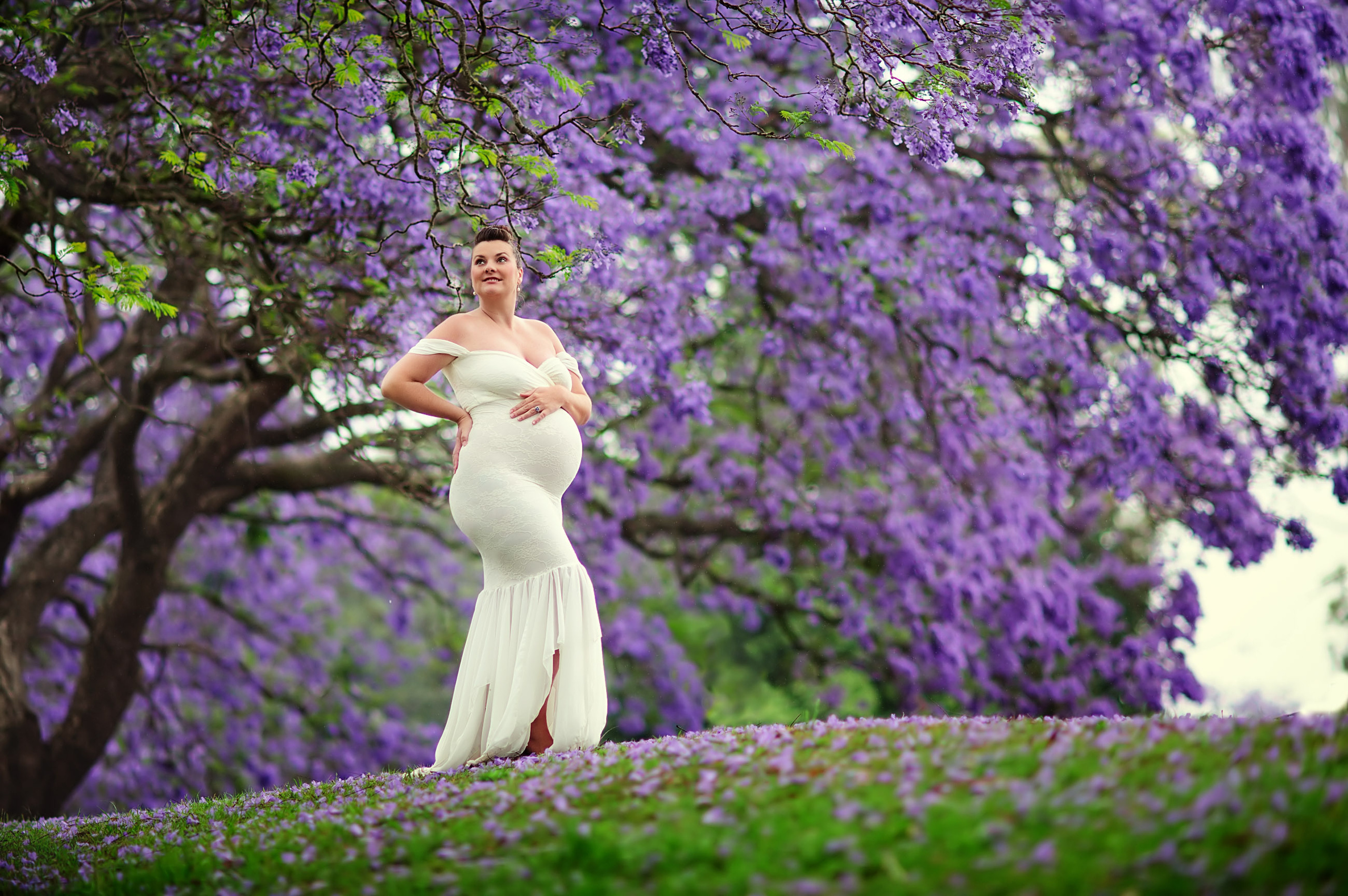 Maternity Photography Sydney, Jacaranda blossom park. Pregnancy Photographer