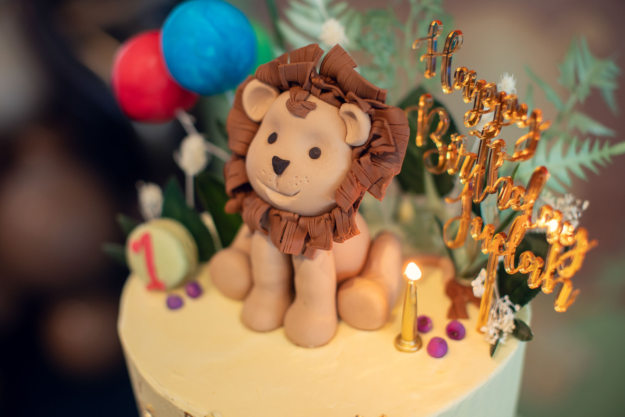 Wild Adventures at Judah’s First Birthday: A Zoo-tastic Party Photogra. Family and Maternity Photography in Sydney, Hills District