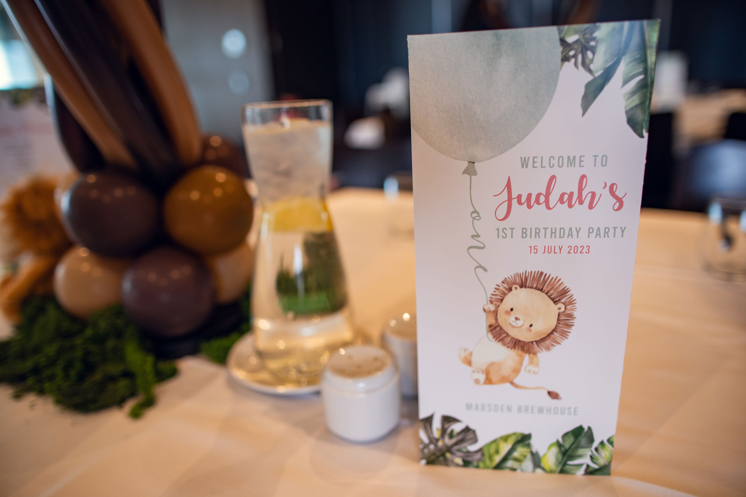 Wild Adventures at Judah’s First Birthday: A Zoo-tastic Party Photogra. Family and Maternity Photography in Sydney, Hills District