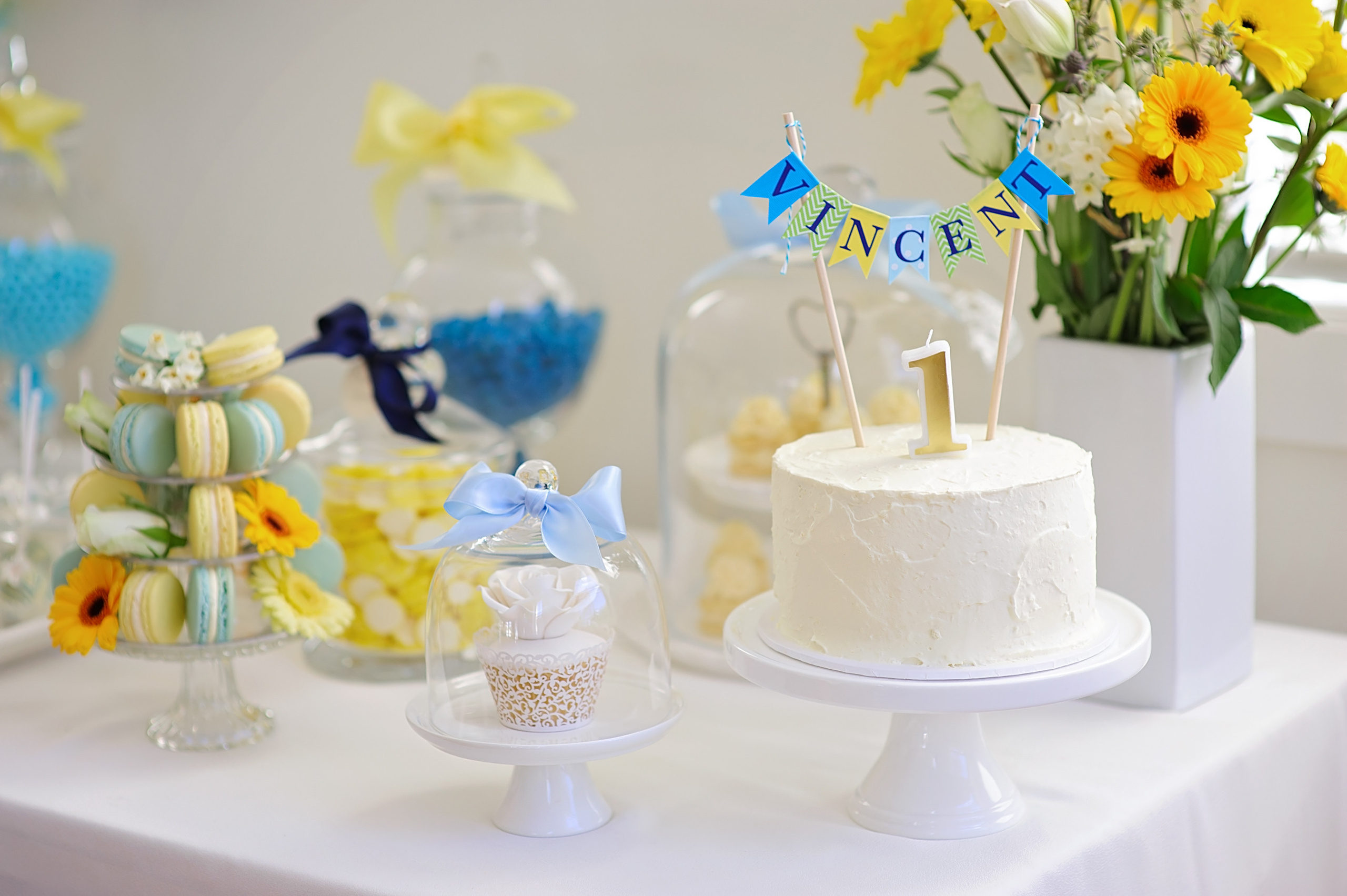 Party Photography Sydney, Kids Birthday and Family event photographer