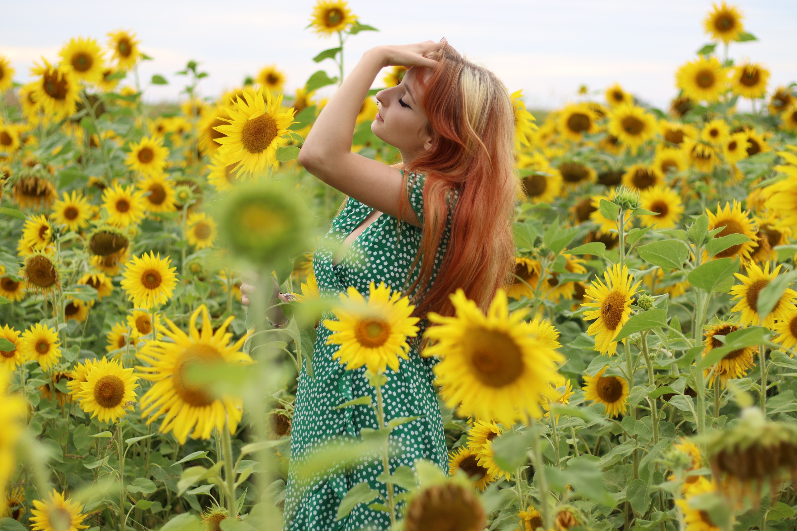 Фотосессия в подсолнухах. Фотограф / Даугавпилс / Ольга Антонова