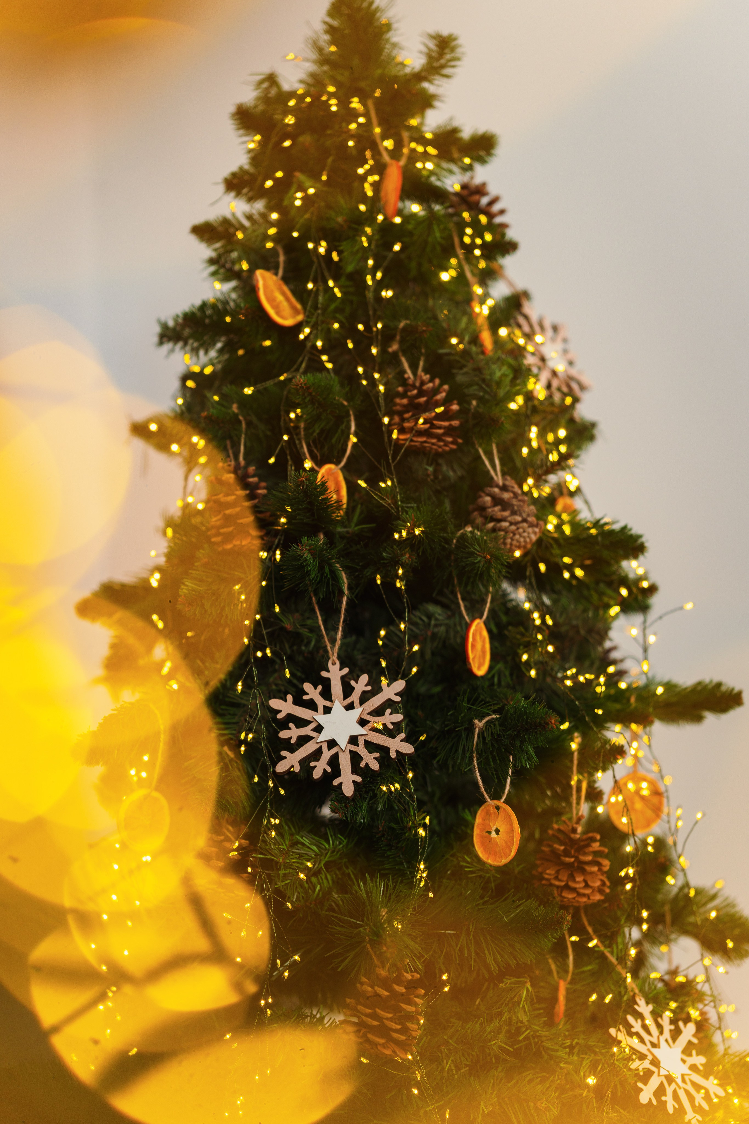 Decor Craciun 2023. Raw Studio. Fotograful tau de nunta!