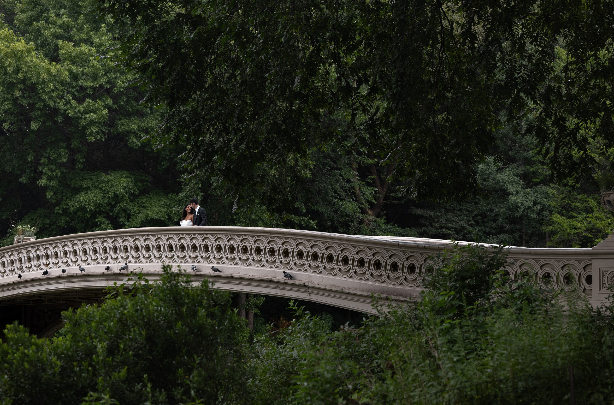 Engagement in Central Park. Photographer Anastasia Nagibina