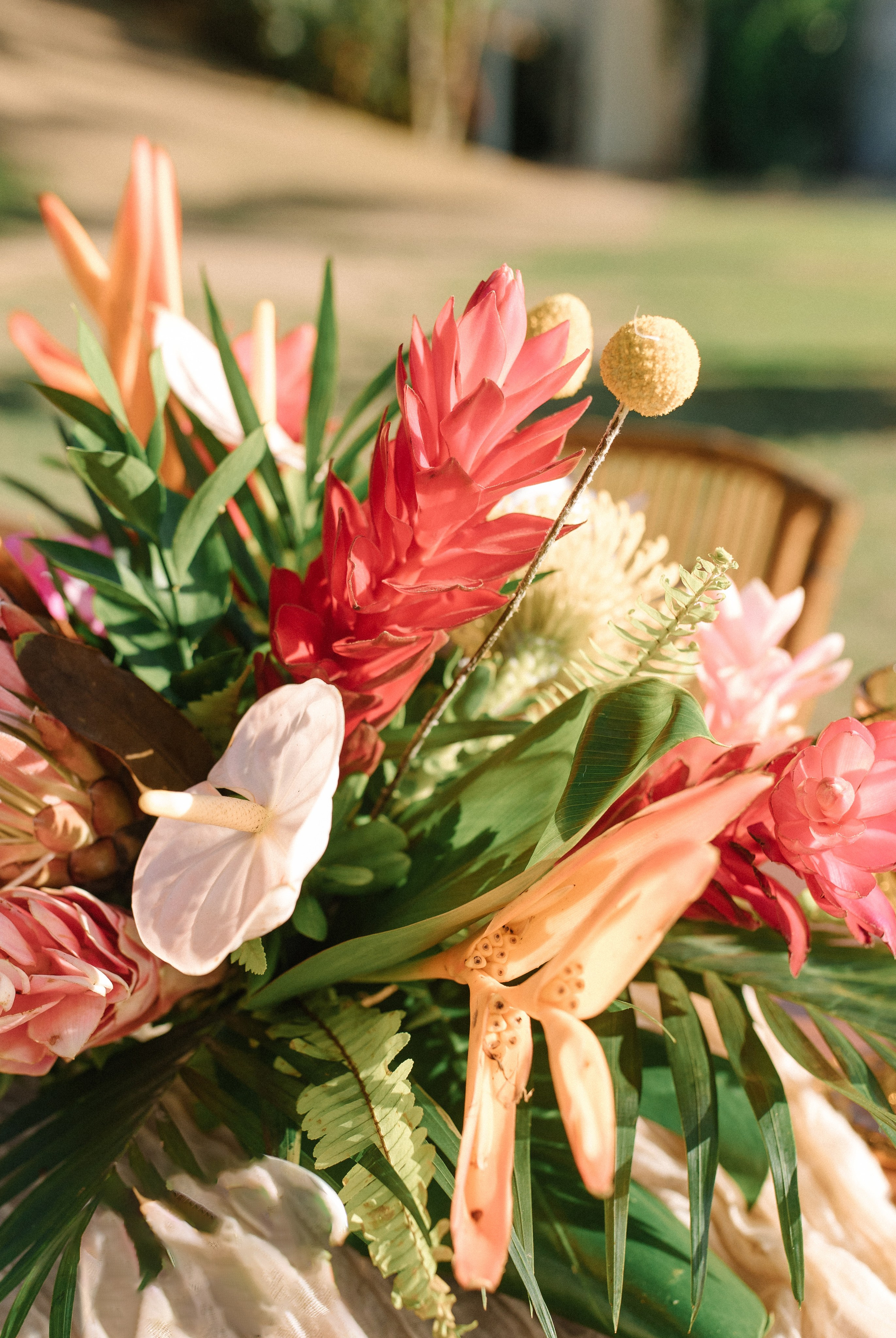 Villa del Oso, Sayulita. Wedding photographer Mexico Sayulita Puerto Vallarta Punta Mita Cabo